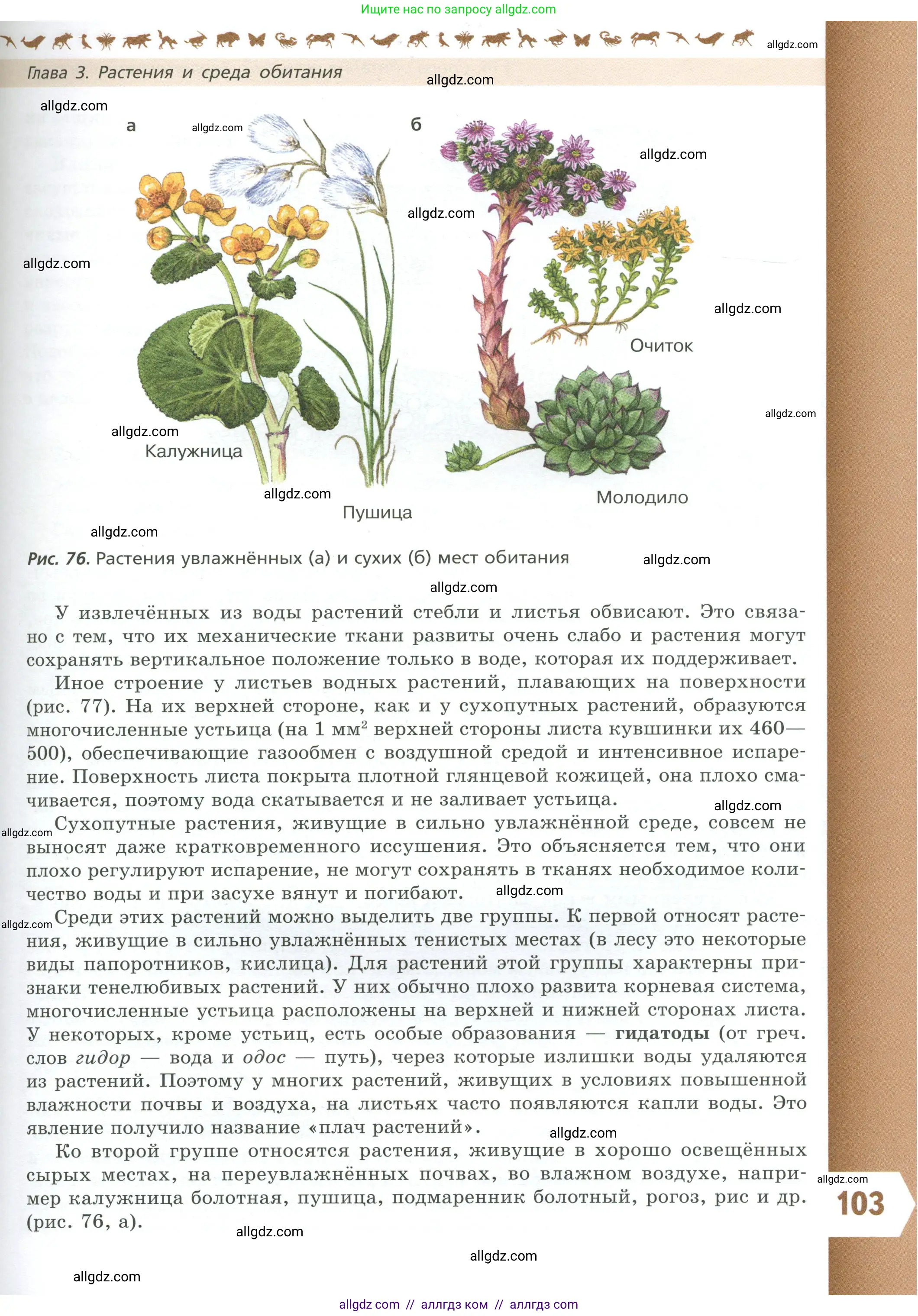 Биология, 7 класс Учебник, авторы: Пасечник Владимир Васильевич, Суматохин Сергей Витальевич, Гапонюк Зоя Георгиевна, Швецов Глеб Геннадьевич, издательство Просвещение, Москва, 2023, бирюзового цвета, страница 103