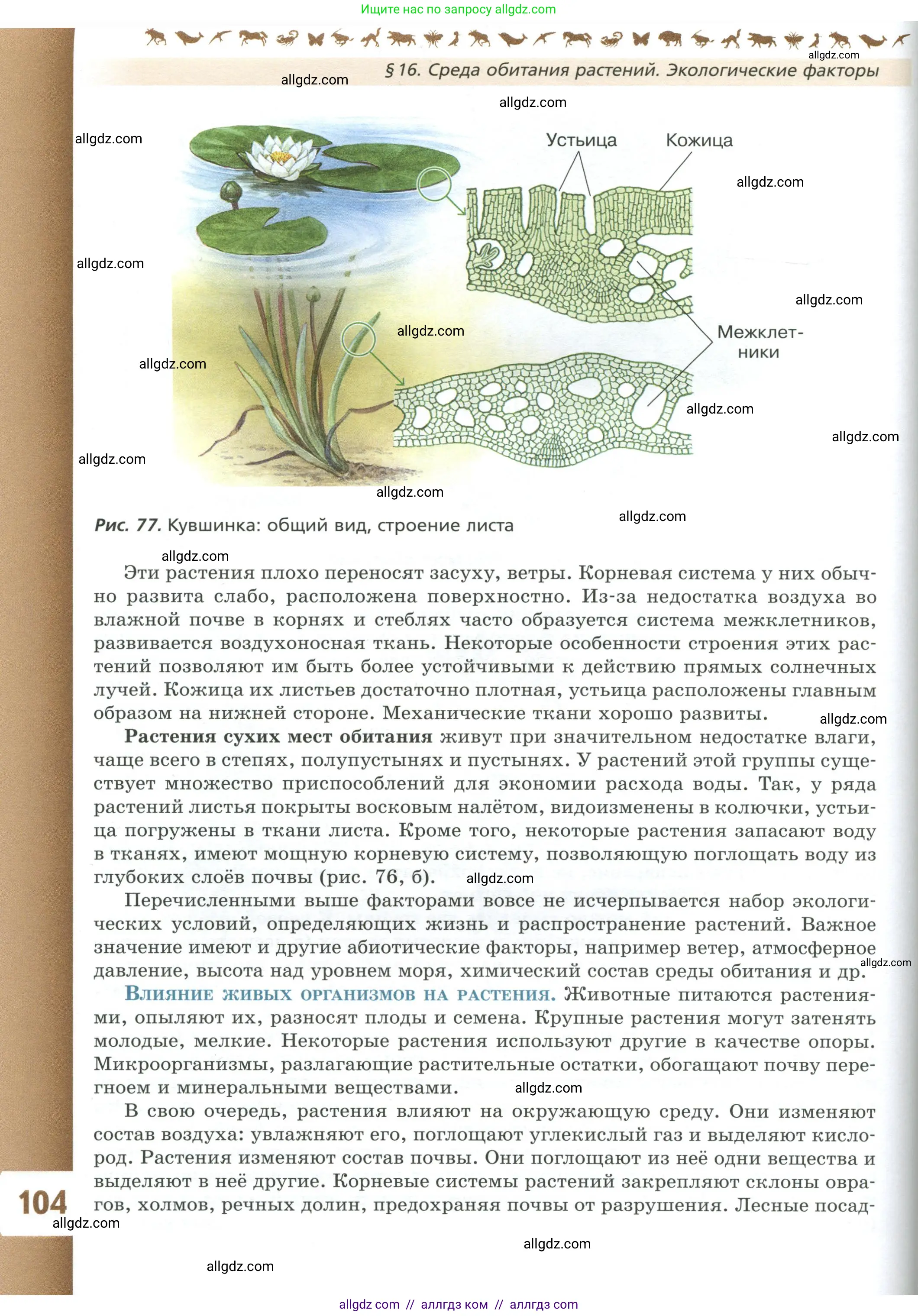Биология, 7 класс Учебник, авторы: Пасечник Владимир Васильевич, Суматохин Сергей Витальевич, Гапонюк Зоя Георгиевна, Швецов Глеб Геннадьевич, издательство Просвещение, Москва, 2023, бирюзового цвета, страница 104