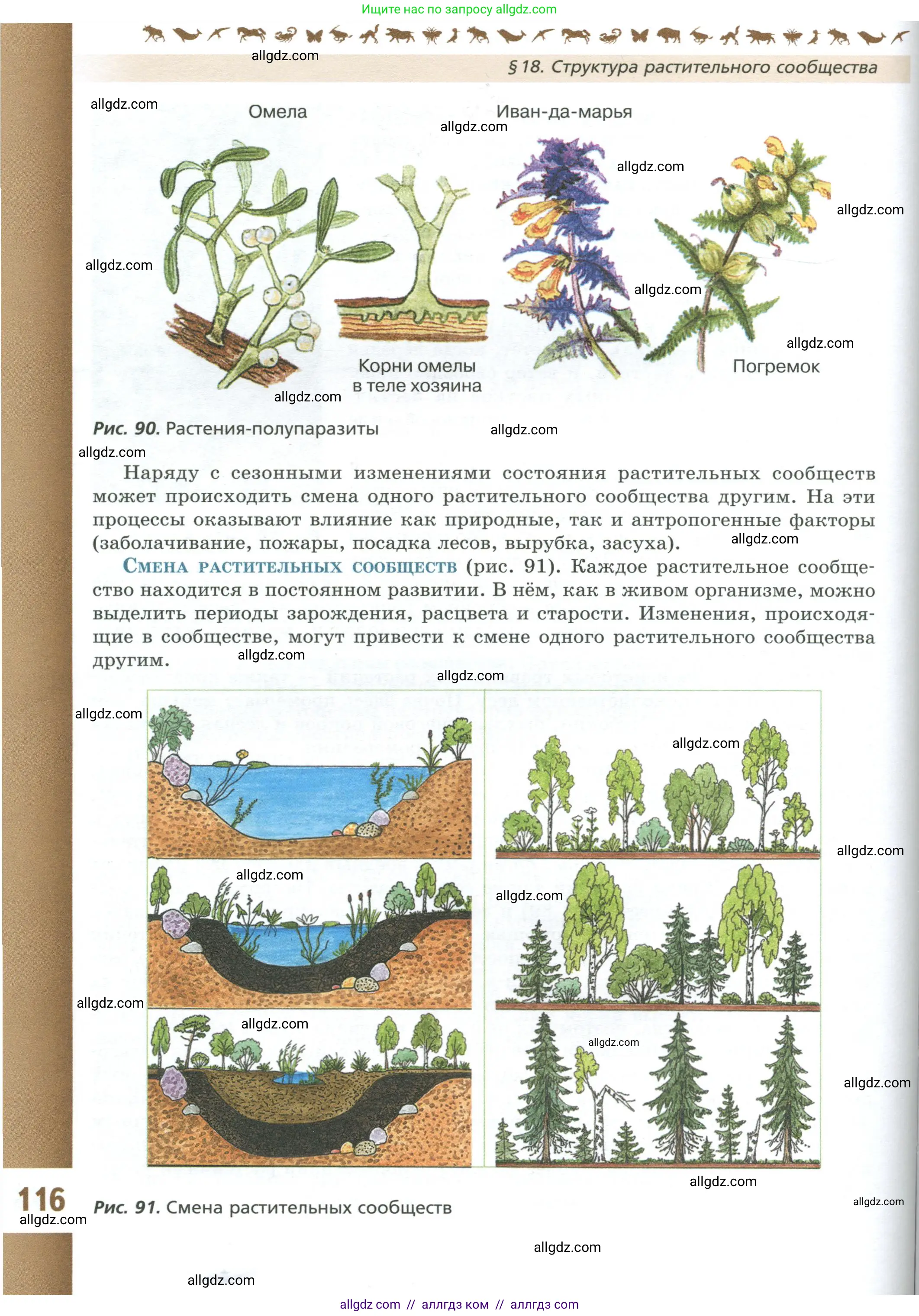 Биология, 7 класс Учебник, авторы: Пасечник Владимир Васильевич, Суматохин Сергей Витальевич, Гапонюк Зоя Георгиевна, Швецов Глеб Геннадьевич, издательство Просвещение, Москва, 2023, бирюзового цвета, страница 116