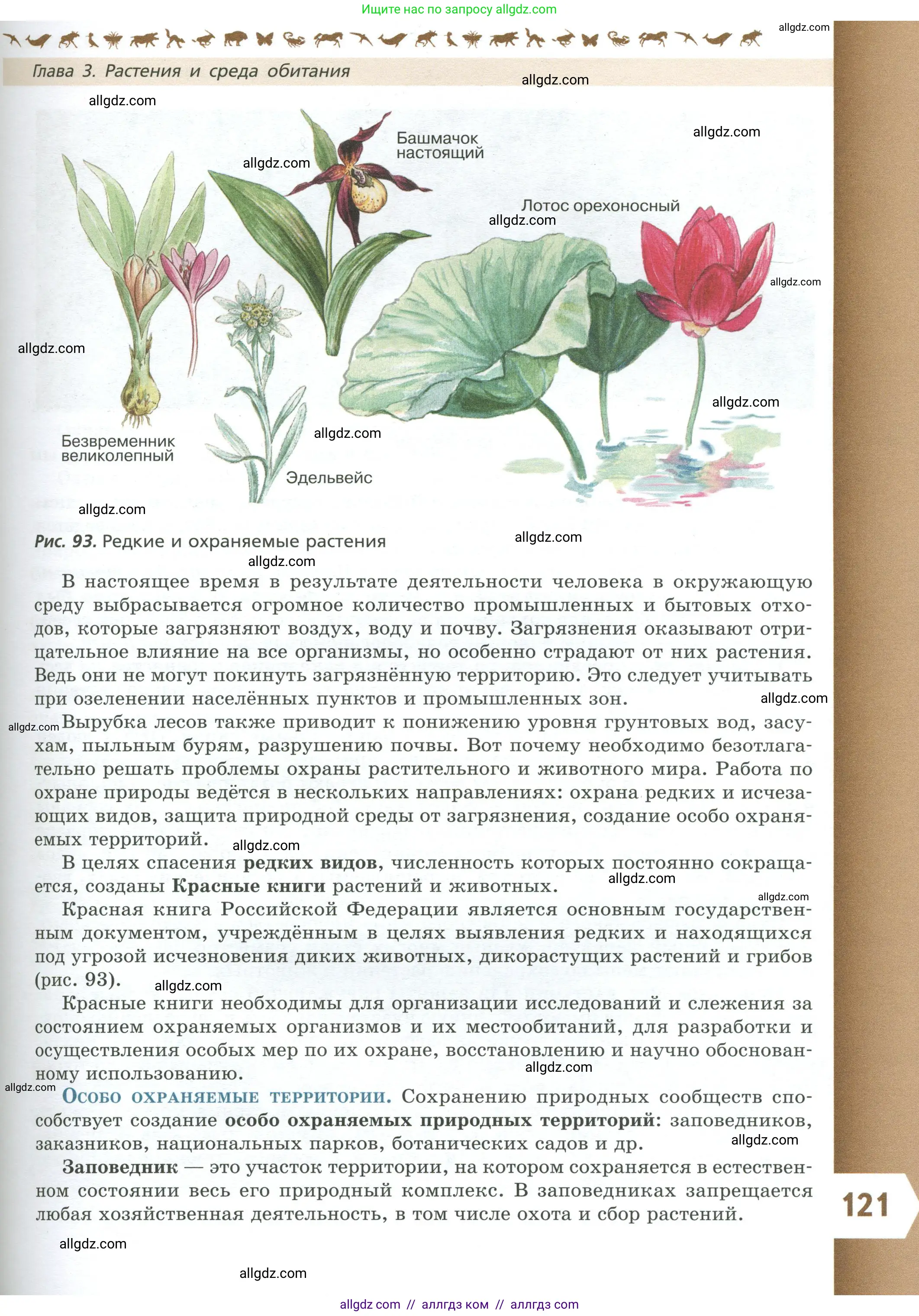 Биология, 7 класс Учебник, авторы: Пасечник Владимир Васильевич, Суматохин Сергей Витальевич, Гапонюк Зоя Георгиевна, Швецов Глеб Геннадьевич, издательство Просвещение, Москва, 2023, бирюзового цвета, страница 121