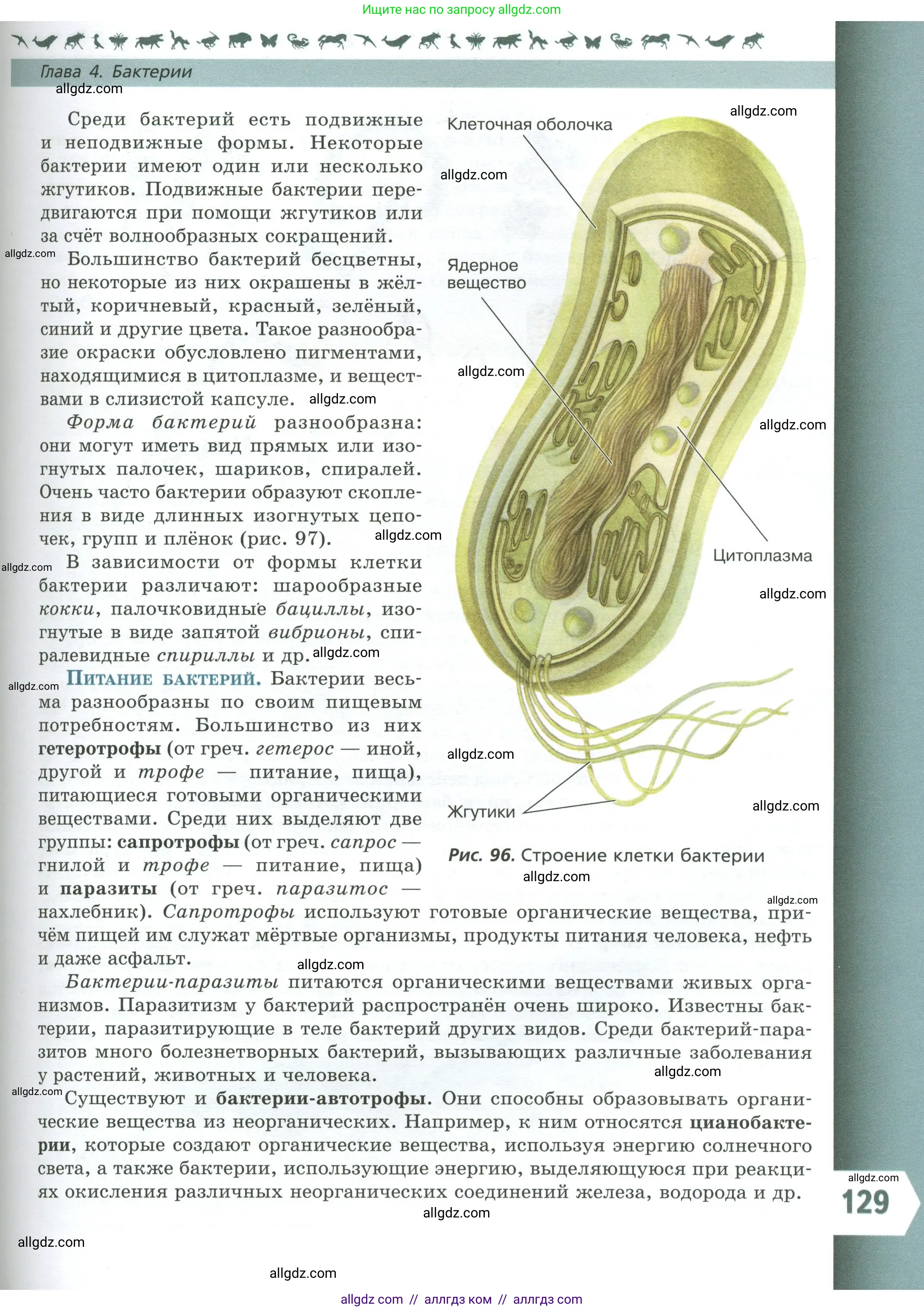Биология, 7 класс Учебник, авторы: Пасечник Владимир Васильевич, Суматохин Сергей Витальевич, Гапонюк Зоя Георгиевна, Швецов Глеб Геннадьевич, издательство Просвещение, Москва, 2023, бирюзового цвета, страница 129
