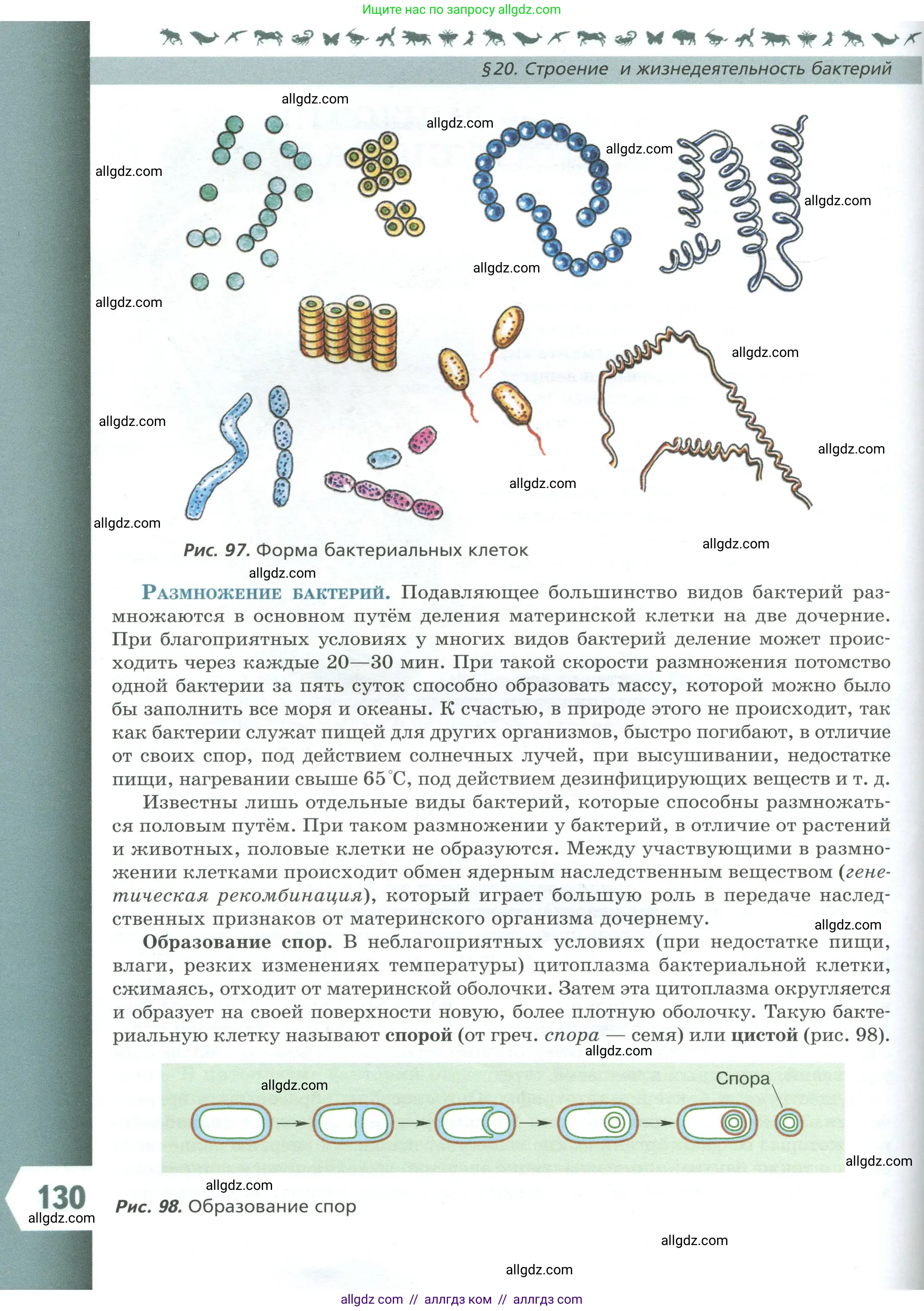 Биология, 7 класс Учебник, авторы: Пасечник Владимир Васильевич, Суматохин Сергей Витальевич, Гапонюк Зоя Георгиевна, Швецов Глеб Геннадьевич, издательство Просвещение, Москва, 2023, бирюзового цвета, страница 130