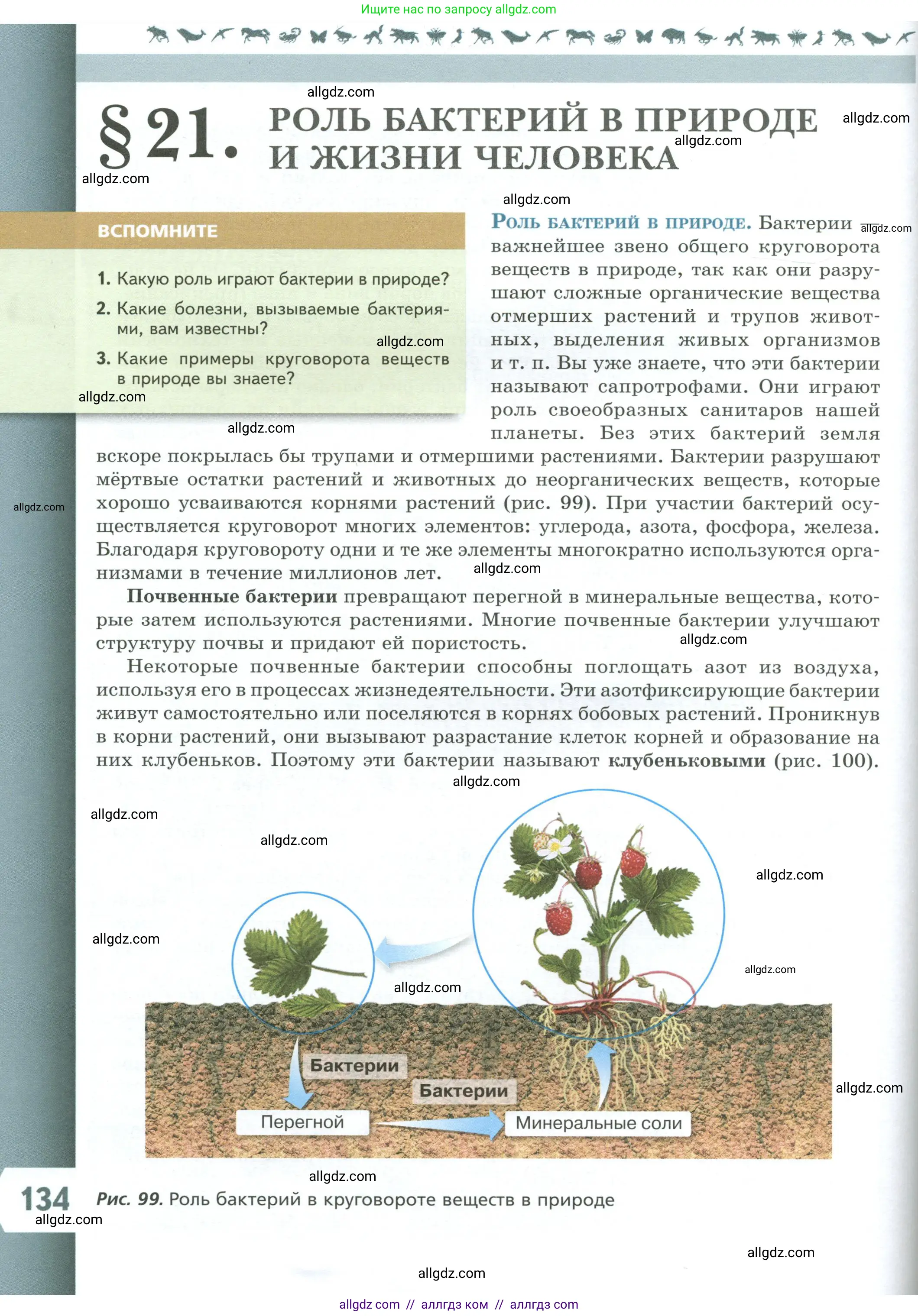 Биология, 7 класс Учебник, авторы: Пасечник Владимир Васильевич, Суматохин Сергей Витальевич, Гапонюк Зоя Георгиевна, Швецов Глеб Геннадьевич, издательство Просвещение, Москва, 2023, бирюзового цвета, страница 134