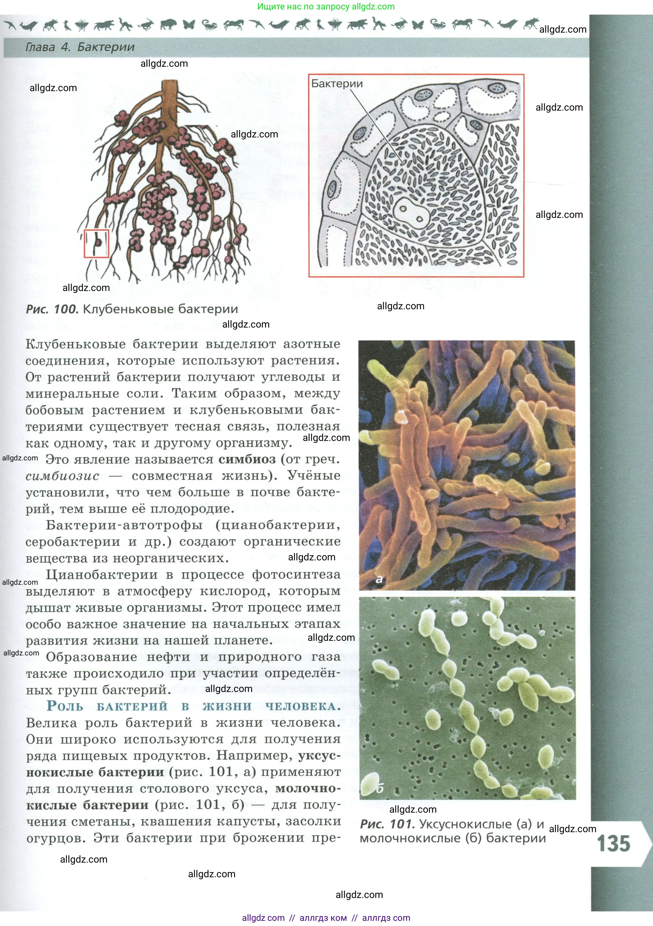 Биология, 7 класс Учебник, авторы: Пасечник Владимир Васильевич, Суматохин Сергей Витальевич, Гапонюк Зоя Георгиевна, Швецов Глеб Геннадьевич, издательство Просвещение, Москва, 2023, бирюзового цвета, страница 135