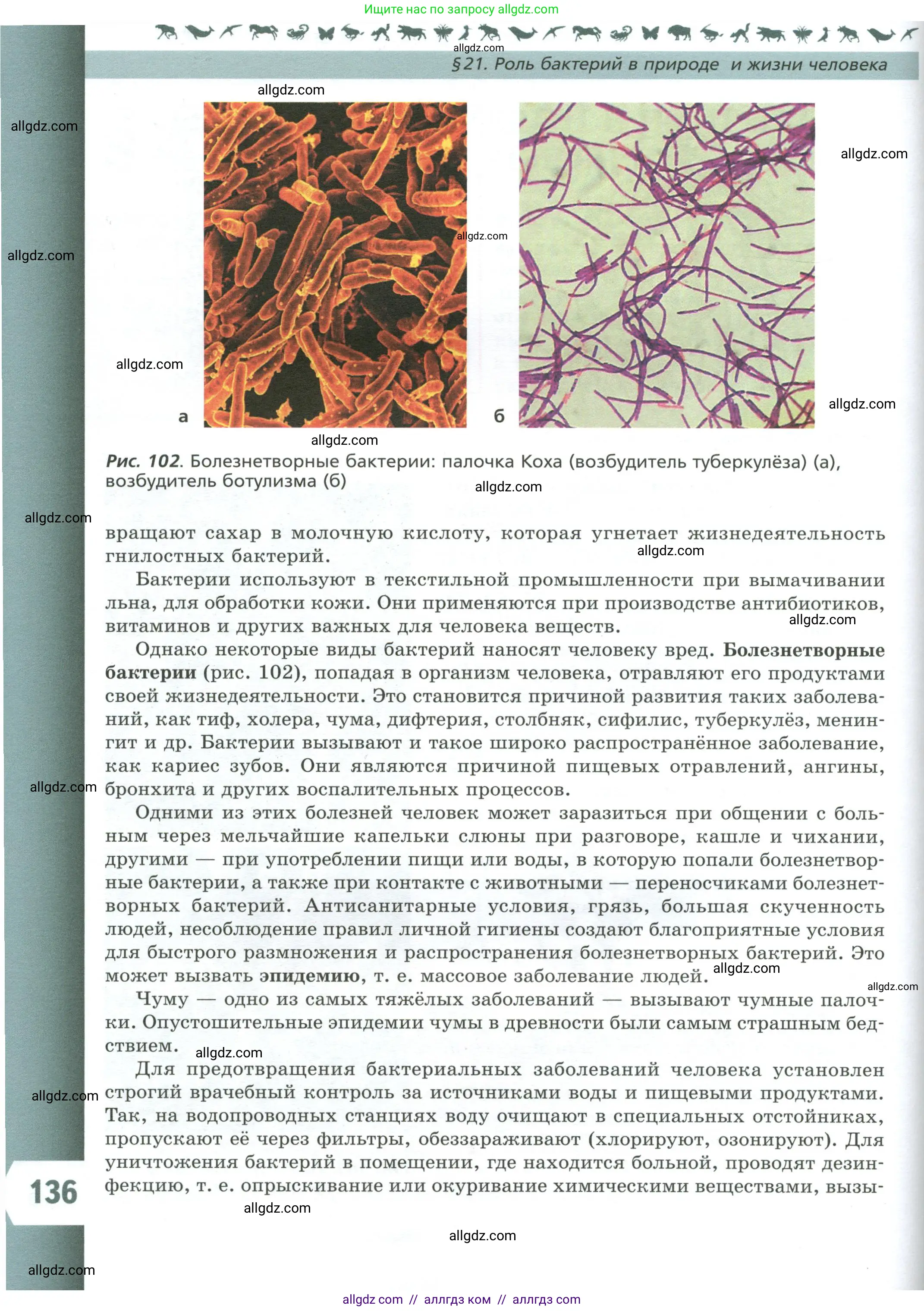 Биология, 7 класс Учебник, авторы: Пасечник Владимир Васильевич, Суматохин Сергей Витальевич, Гапонюк Зоя Георгиевна, Швецов Глеб Геннадьевич, издательство Просвещение, Москва, 2023, бирюзового цвета, страница 136