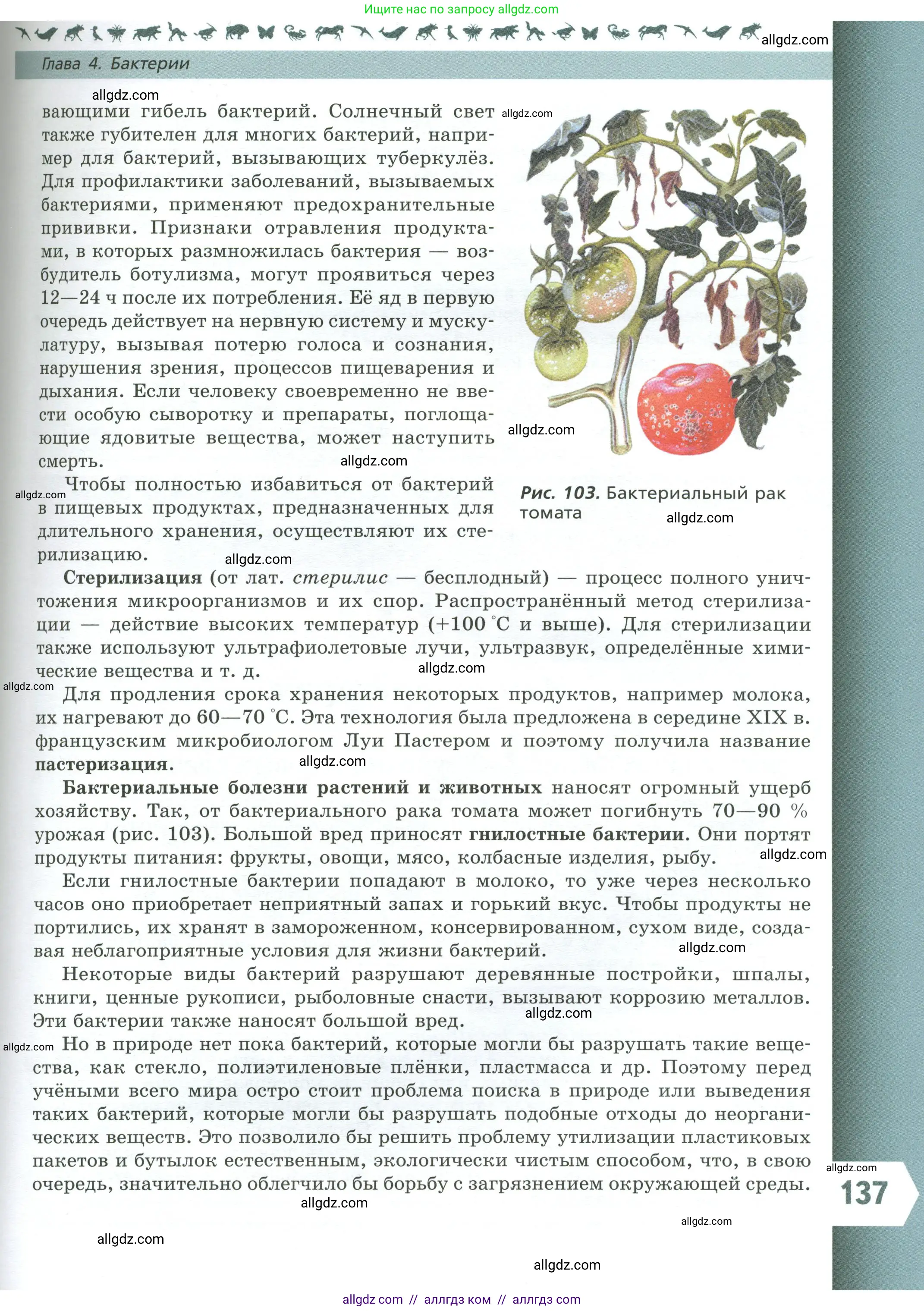 Биология, 7 класс Учебник, авторы: Пасечник Владимир Васильевич, Суматохин Сергей Витальевич, Гапонюк Зоя Георгиевна, Швецов Глеб Геннадьевич, издательство Просвещение, Москва, 2023, бирюзового цвета, страница 137
