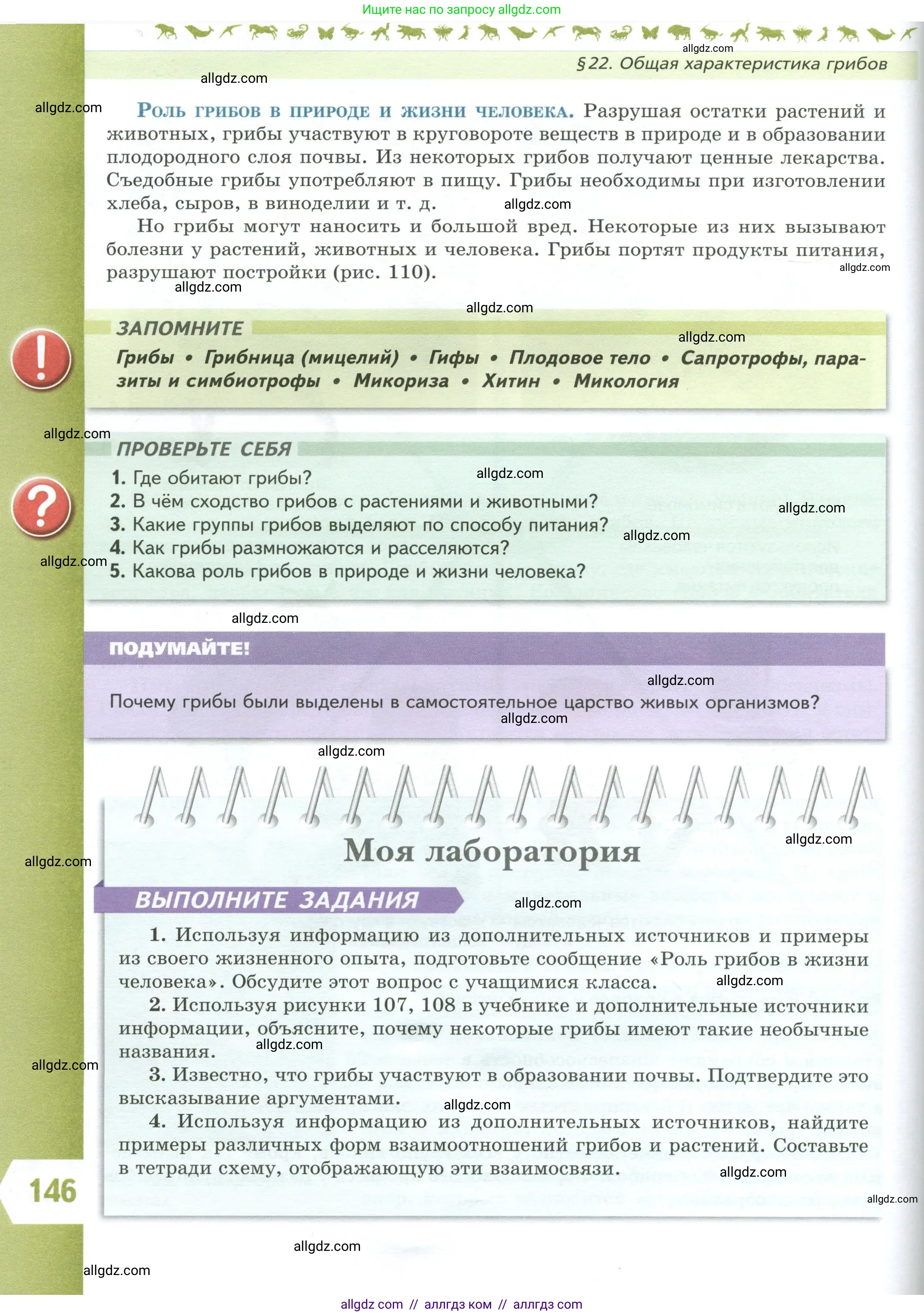 Биология, 7 класс Учебник, авторы: Пасечник Владимир Васильевич, Суматохин Сергей Витальевич, Гапонюк Зоя Георгиевна, Швецов Глеб Геннадьевич, издательство Просвещение, Москва, 2023, бирюзового цвета, страница 146