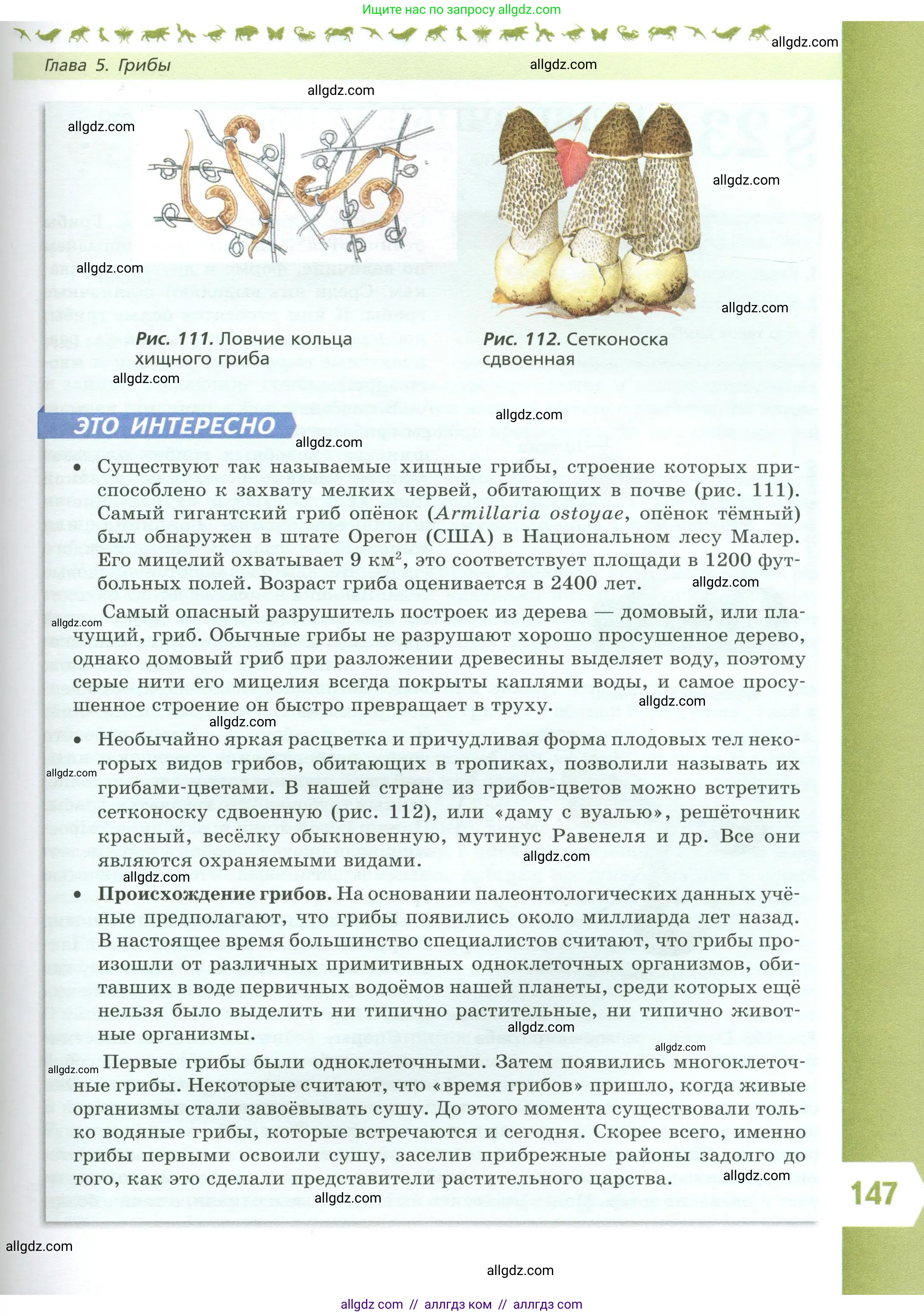 Биология, 7 класс Учебник, авторы: Пасечник Владимир Васильевич, Суматохин Сергей Витальевич, Гапонюк Зоя Георгиевна, Швецов Глеб Геннадьевич, издательство Просвещение, Москва, 2023, бирюзового цвета, страница 147