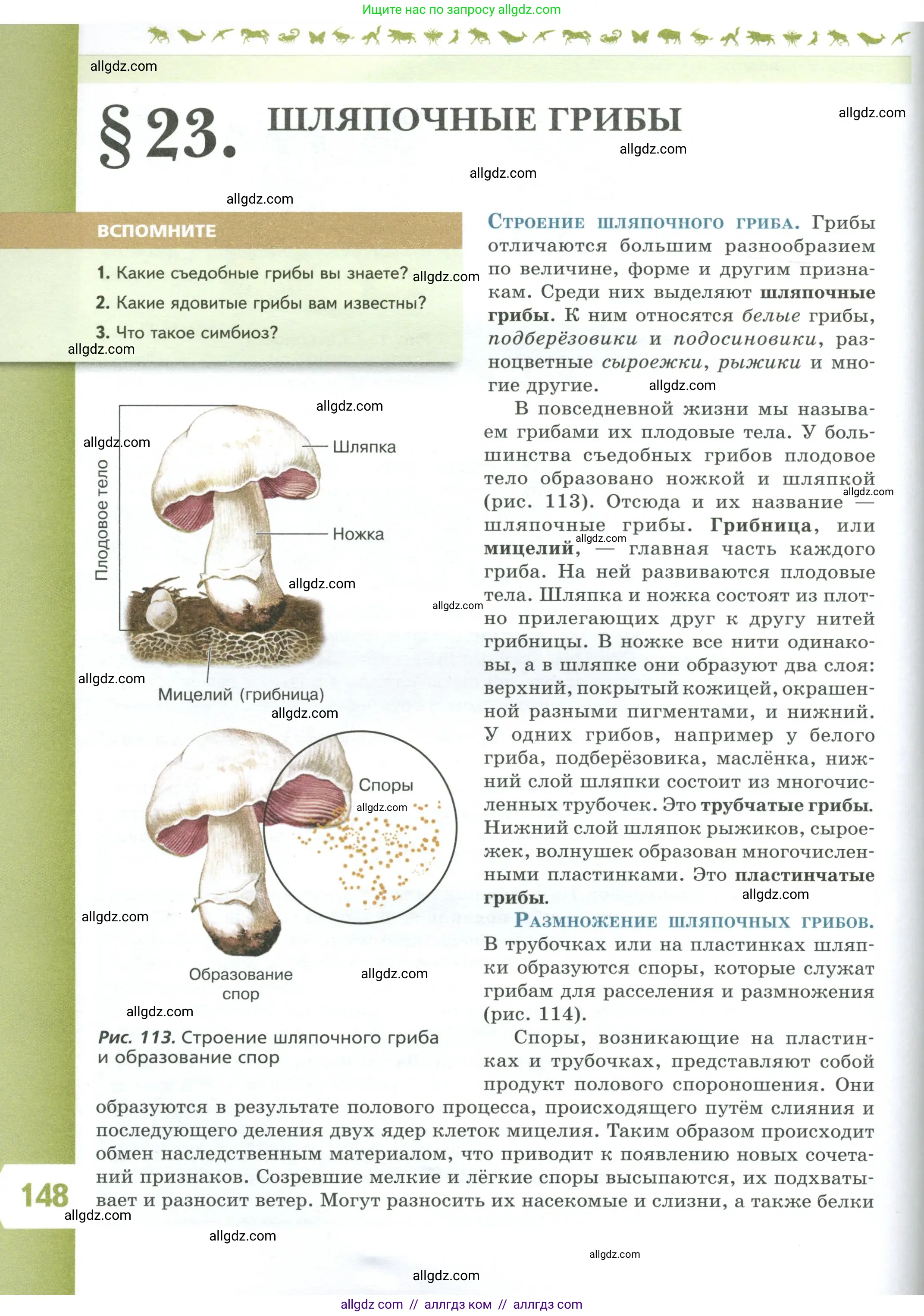 Биология, 7 класс Учебник, авторы: Пасечник Владимир Васильевич, Суматохин Сергей Витальевич, Гапонюк Зоя Георгиевна, Швецов Глеб Геннадьевич, издательство Просвещение, Москва, 2023, бирюзового цвета, страница 148
