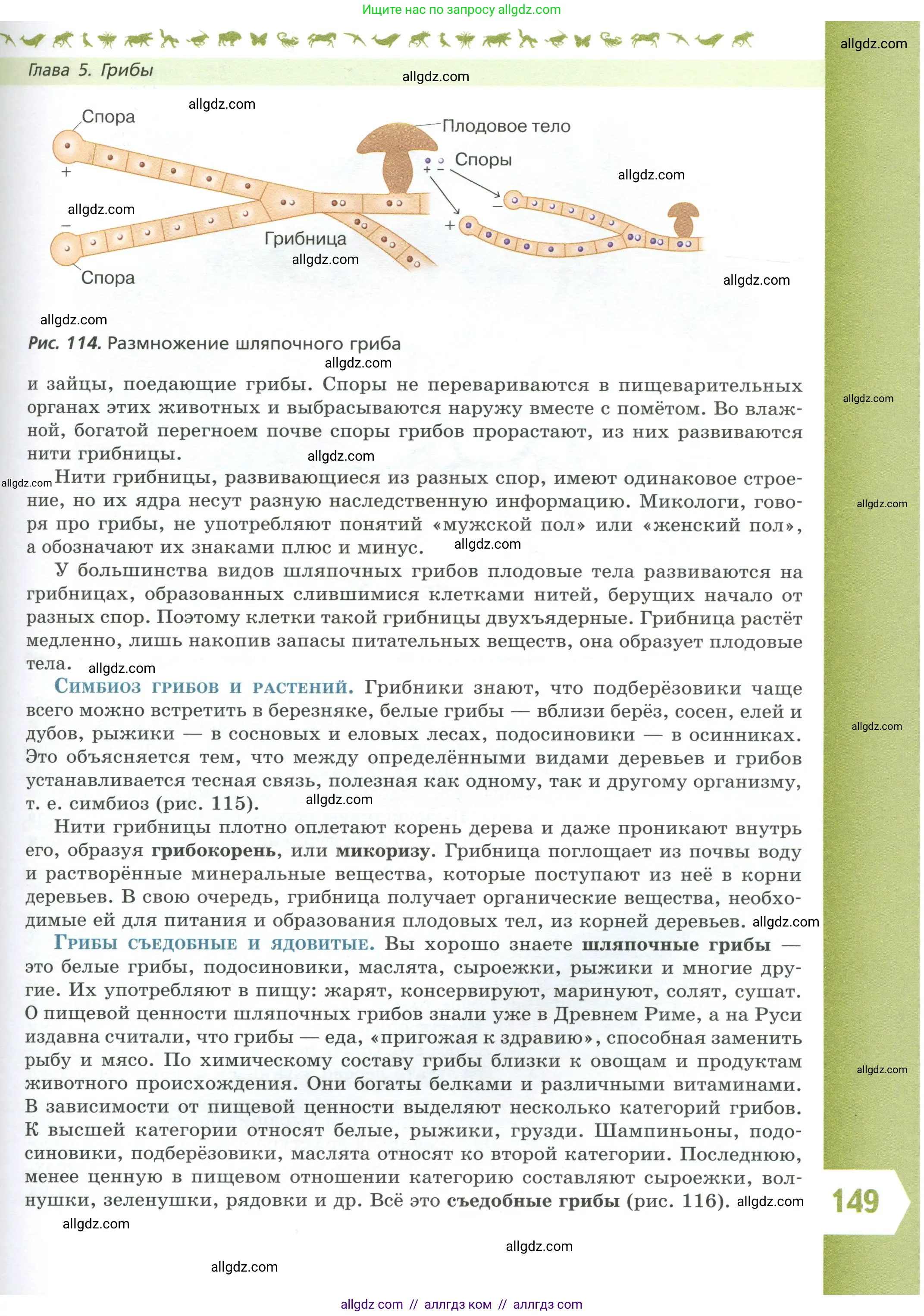 Биология, 7 класс Учебник, авторы: Пасечник Владимир Васильевич, Суматохин Сергей Витальевич, Гапонюк Зоя Георгиевна, Швецов Глеб Геннадьевич, издательство Просвещение, Москва, 2023, бирюзового цвета, страница 149