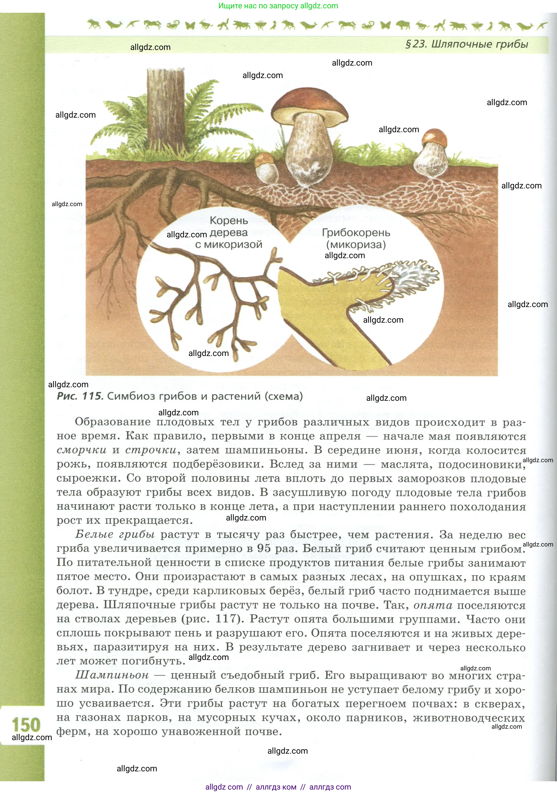 Биология, 7 класс Учебник, авторы: Пасечник Владимир Васильевич, Суматохин Сергей Витальевич, Гапонюк Зоя Георгиевна, Швецов Глеб Геннадьевич, издательство Просвещение, Москва, 2023, бирюзового цвета, страница 150