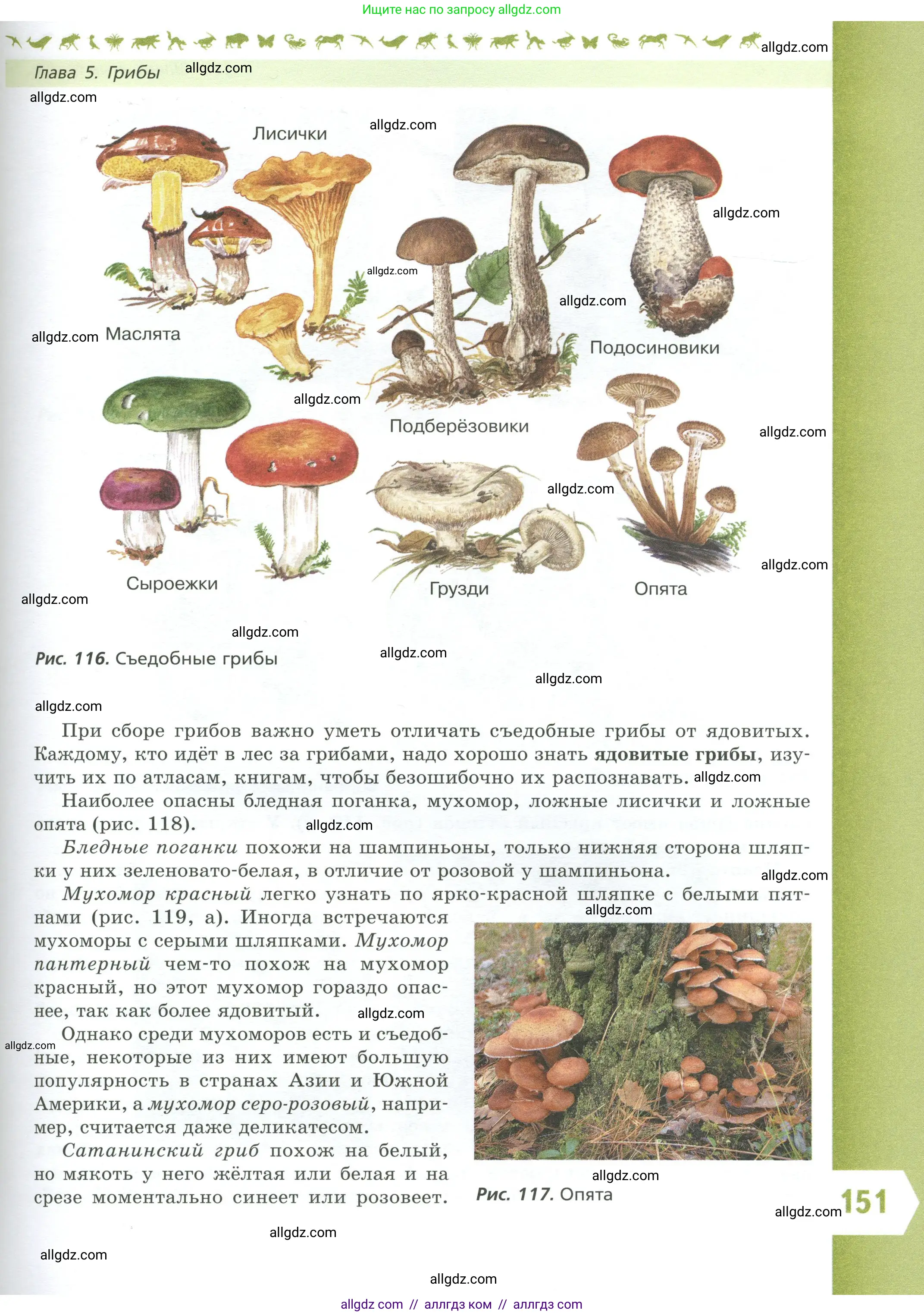 Биология, 7 класс Учебник, авторы: Пасечник Владимир Васильевич, Суматохин Сергей Витальевич, Гапонюк Зоя Георгиевна, Швецов Глеб Геннадьевич, издательство Просвещение, Москва, 2023, бирюзового цвета, страница 151