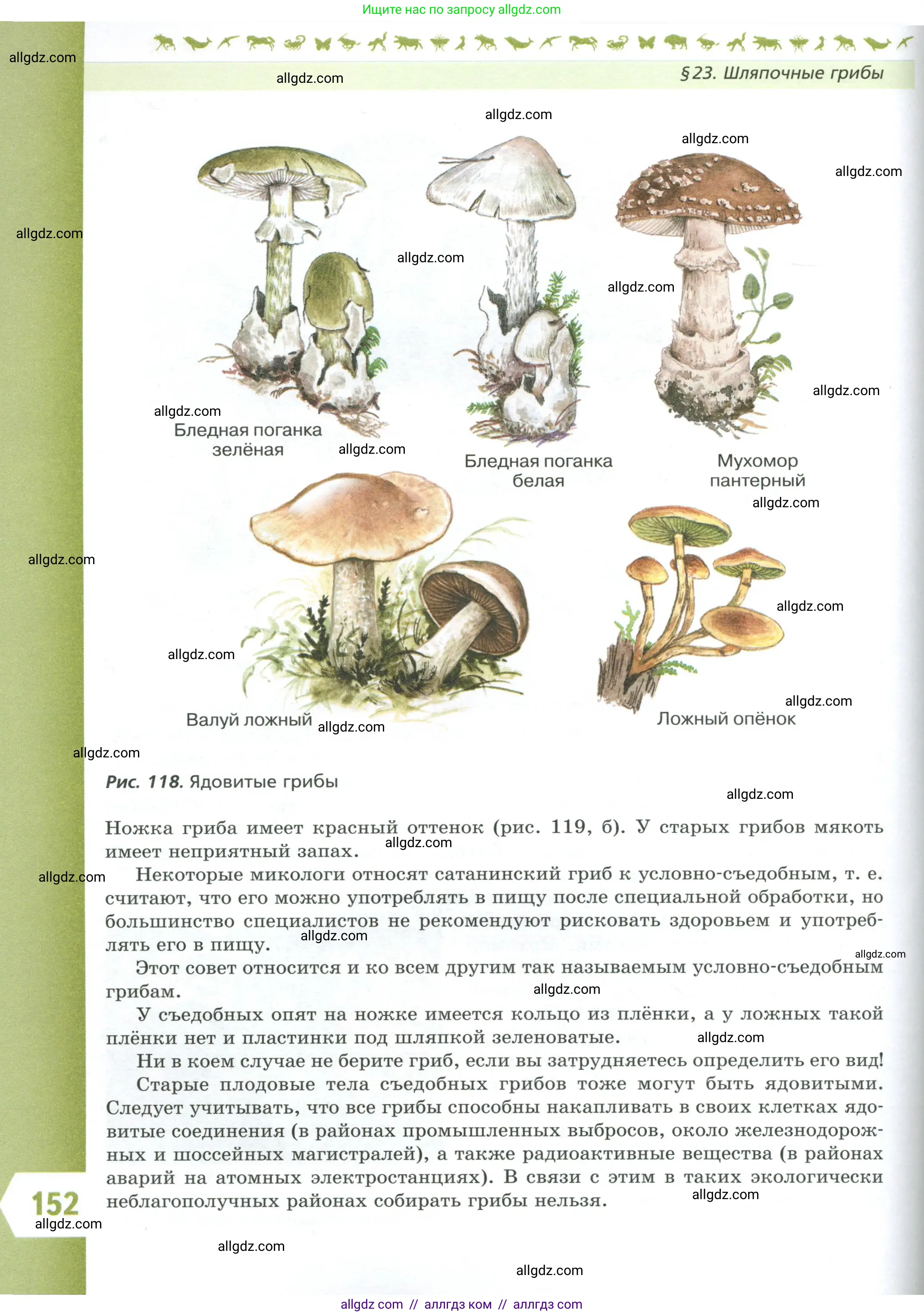 Биология, 7 класс Учебник, авторы: Пасечник Владимир Васильевич, Суматохин Сергей Витальевич, Гапонюк Зоя Георгиевна, Швецов Глеб Геннадьевич, издательство Просвещение, Москва, 2023, бирюзового цвета, страница 152