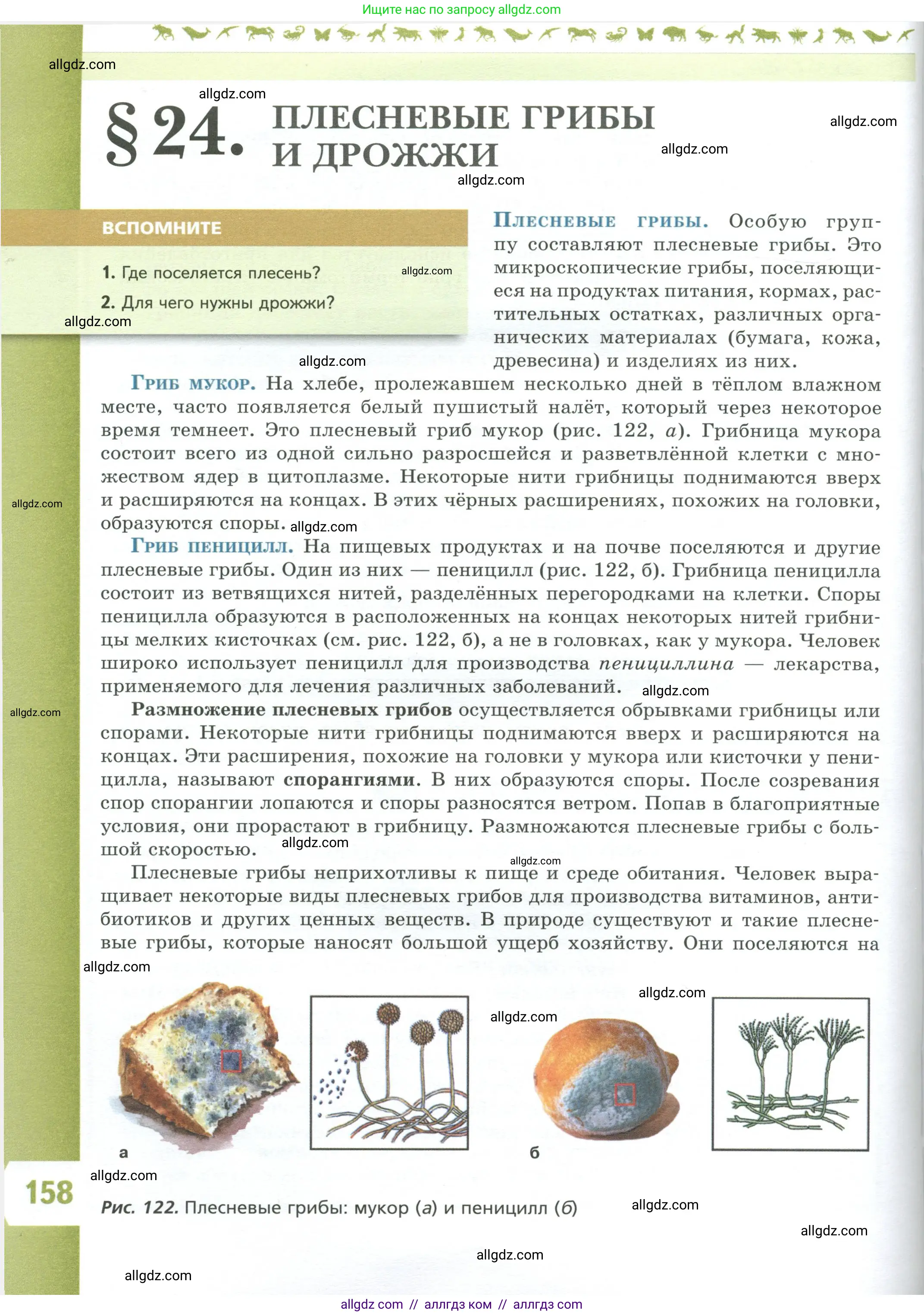 Биология, 7 класс Учебник, авторы: Пасечник Владимир Васильевич, Суматохин Сергей Витальевич, Гапонюк Зоя Георгиевна, Швецов Глеб Геннадьевич, издательство Просвещение, Москва, 2023, бирюзового цвета, страница 158