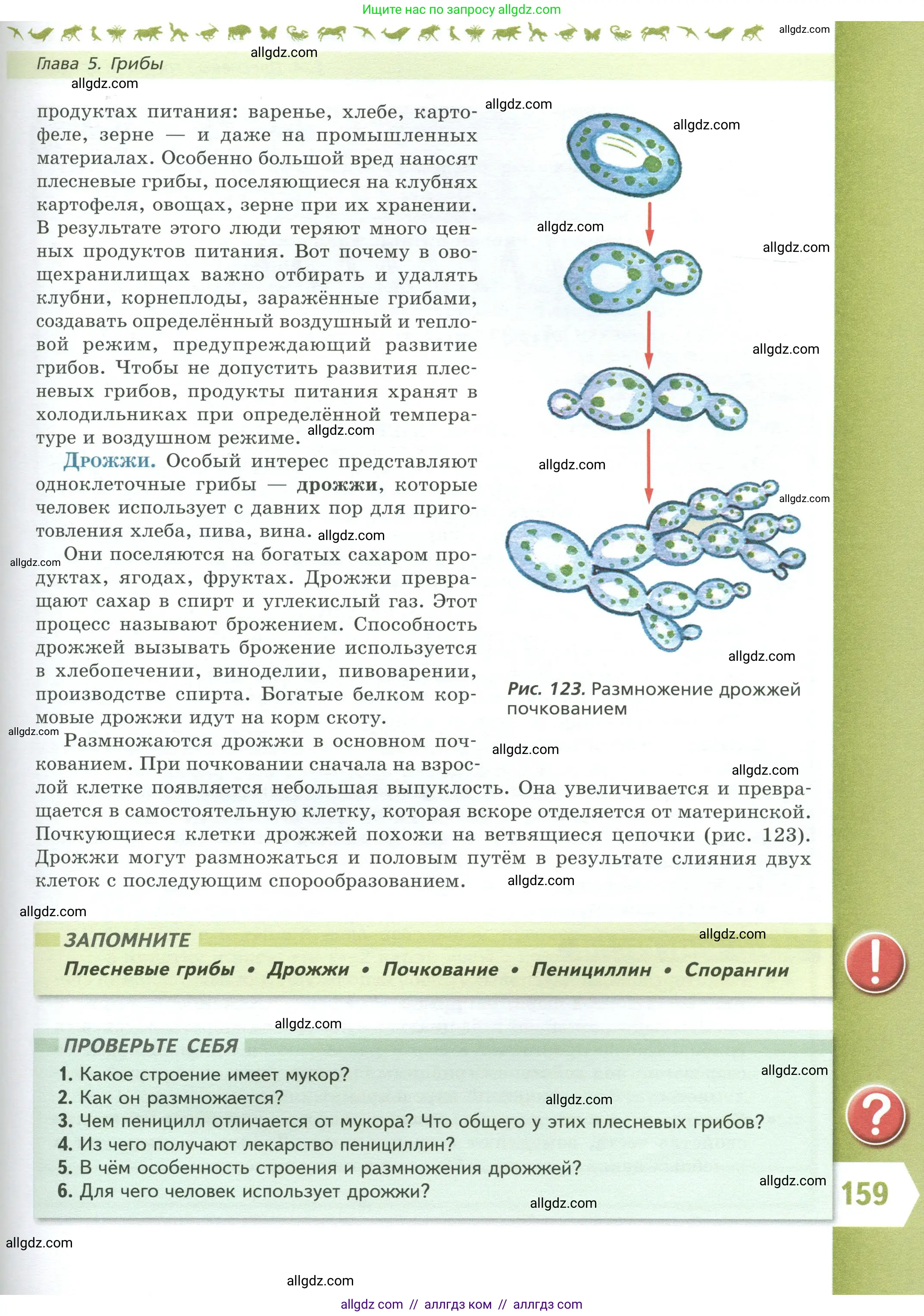 Биология, 7 класс Учебник, авторы: Пасечник Владимир Васильевич, Суматохин Сергей Витальевич, Гапонюк Зоя Георгиевна, Швецов Глеб Геннадьевич, издательство Просвещение, Москва, 2023, бирюзового цвета, страница 159