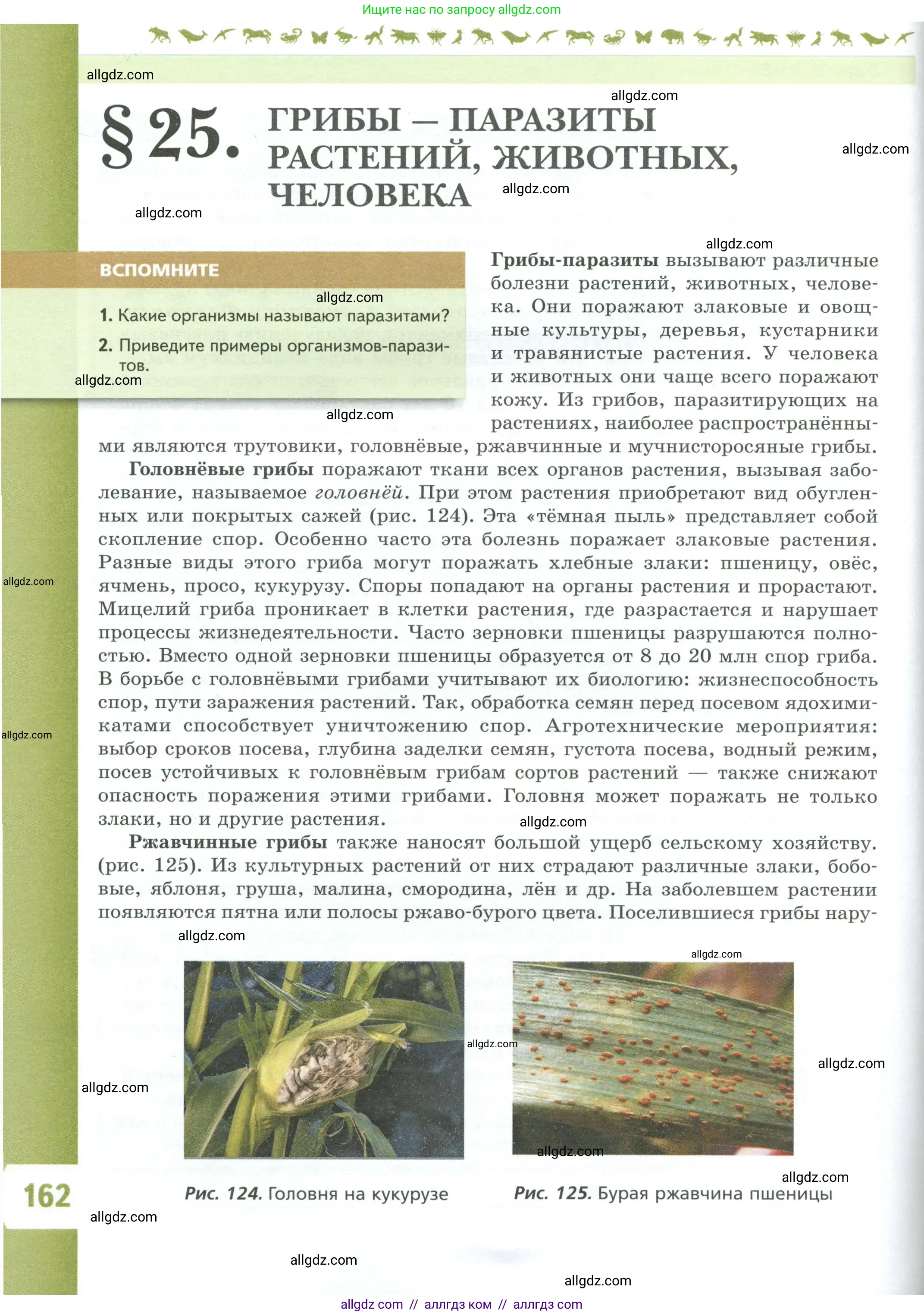 Биология, 7 класс Учебник, авторы: Пасечник Владимир Васильевич, Суматохин Сергей Витальевич, Гапонюк Зоя Георгиевна, Швецов Глеб Геннадьевич, издательство Просвещение, Москва, 2023, бирюзового цвета, страница 162