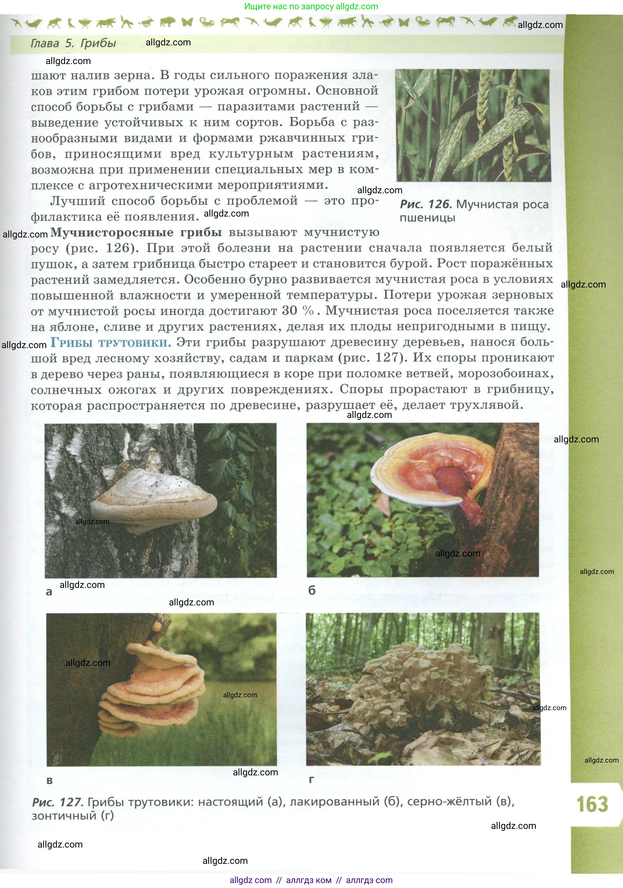 Биология, 7 класс Учебник, авторы: Пасечник Владимир Васильевич, Суматохин Сергей Витальевич, Гапонюк Зоя Георгиевна, Швецов Глеб Геннадьевич, издательство Просвещение, Москва, 2023, бирюзового цвета, страница 163