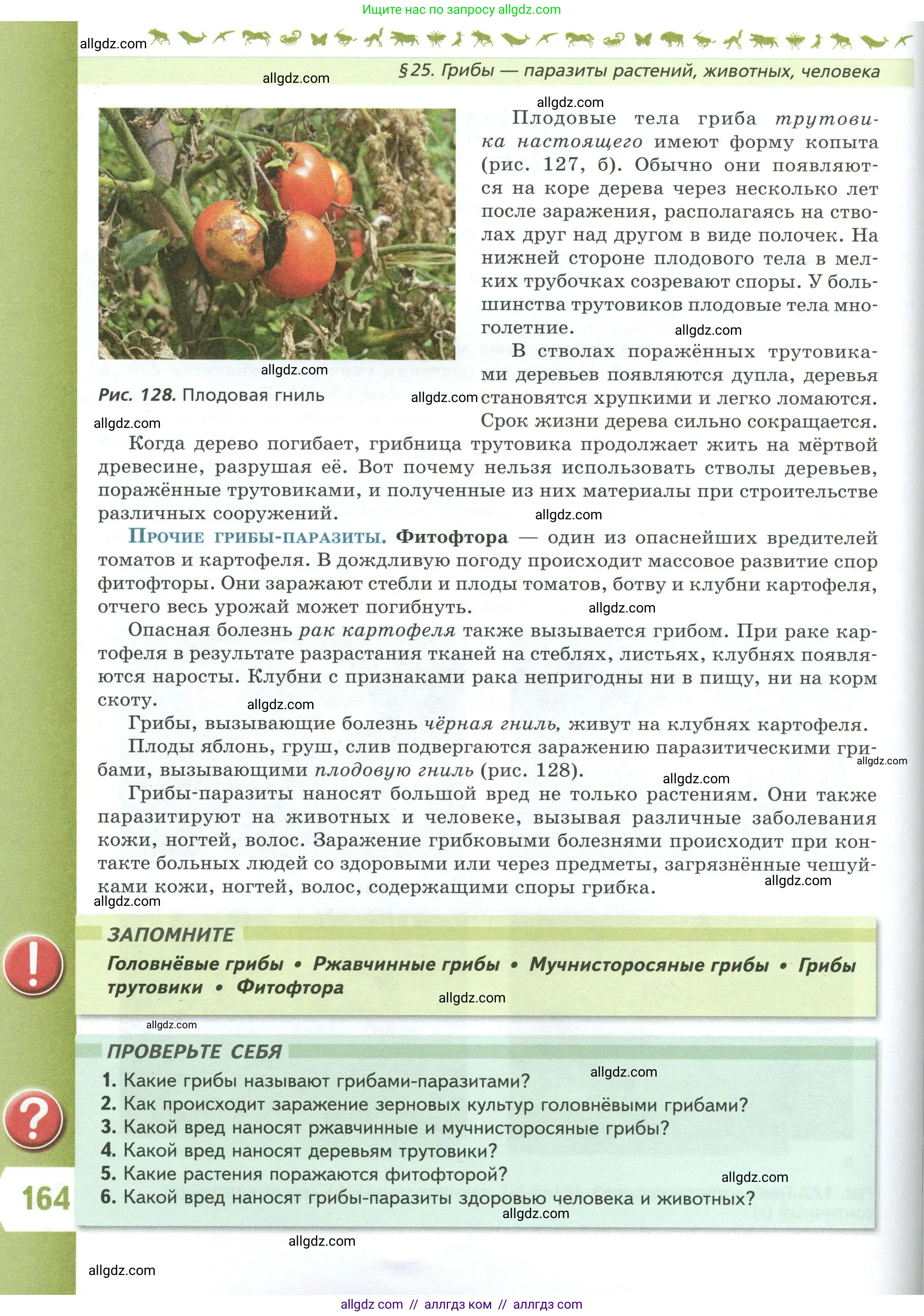Биология, 7 класс Учебник, авторы: Пасечник Владимир Васильевич, Суматохин Сергей Витальевич, Гапонюк Зоя Георгиевна, Швецов Глеб Геннадьевич, издательство Просвещение, Москва, 2023, бирюзового цвета, страница 164