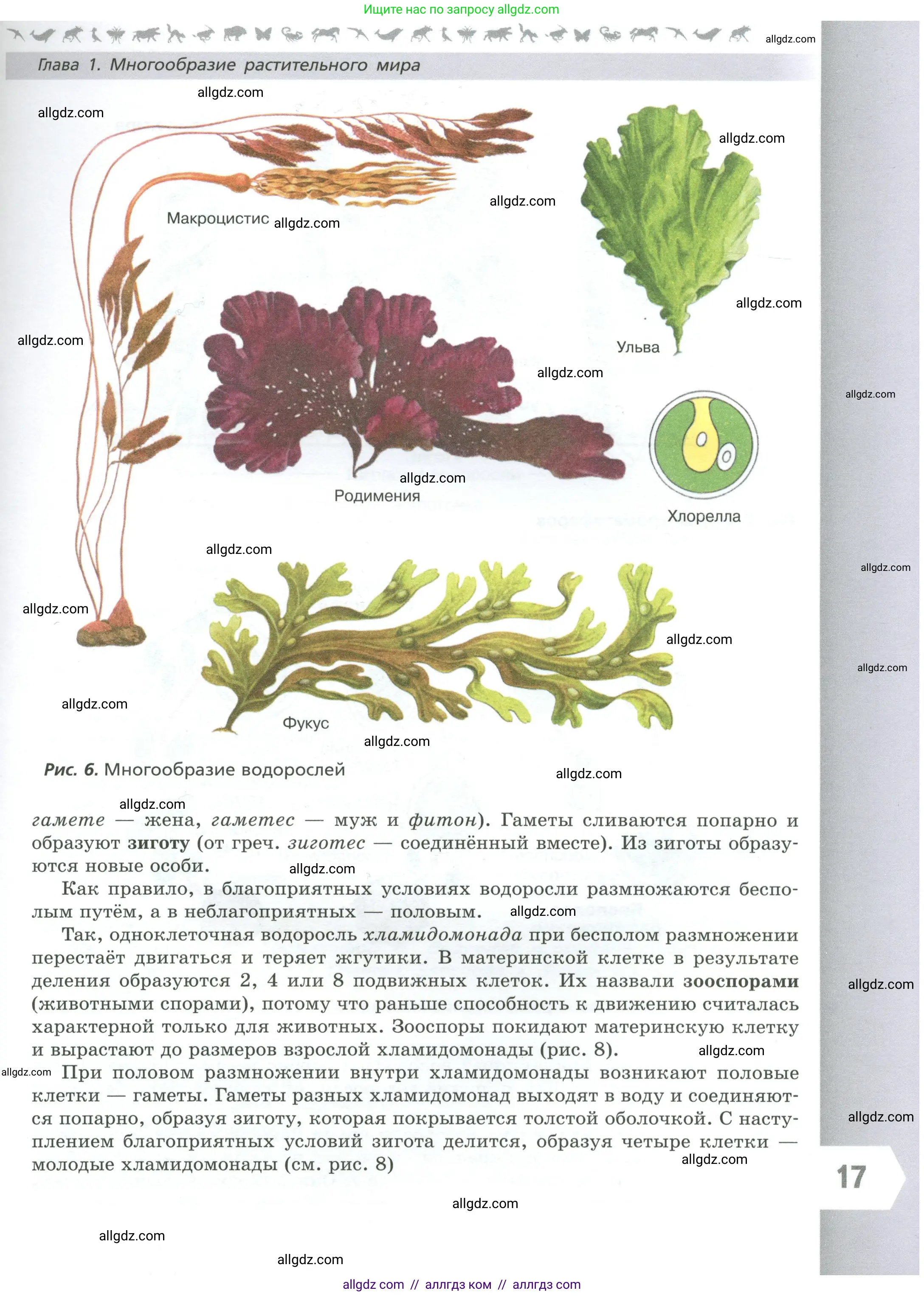 Биология, 7 класс Учебник, авторы: Пасечник Владимир Васильевич, Суматохин Сергей Витальевич, Гапонюк Зоя Георгиевна, Швецов Глеб Геннадьевич, издательство Просвещение, Москва, 2023, бирюзового цвета, страница 17