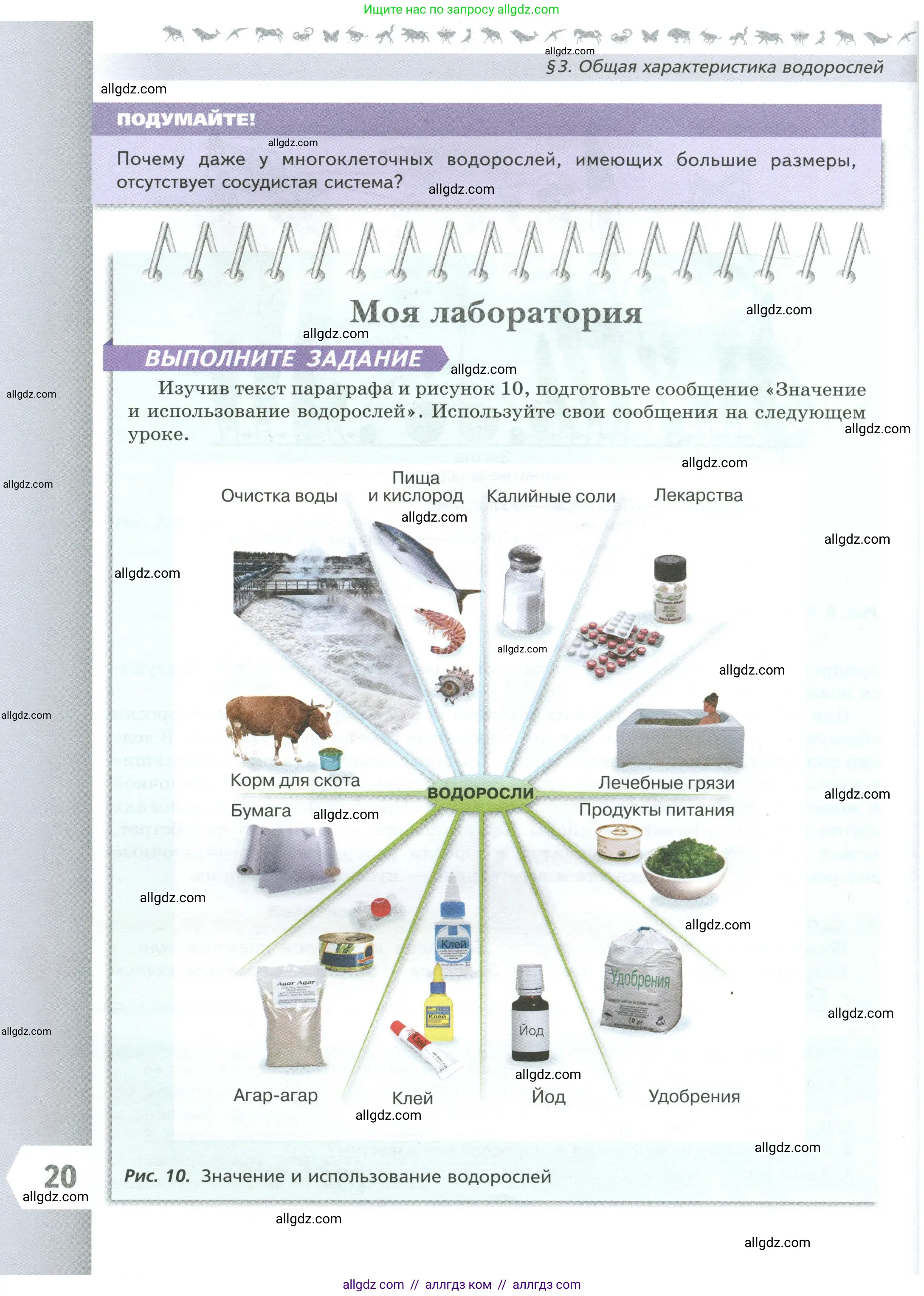 Биология, 7 класс Учебник, авторы: Пасечник Владимир Васильевич, Суматохин Сергей Витальевич, Гапонюк Зоя Георгиевна, Швецов Глеб Геннадьевич, издательство Просвещение, Москва, 2023, бирюзового цвета, страница 20