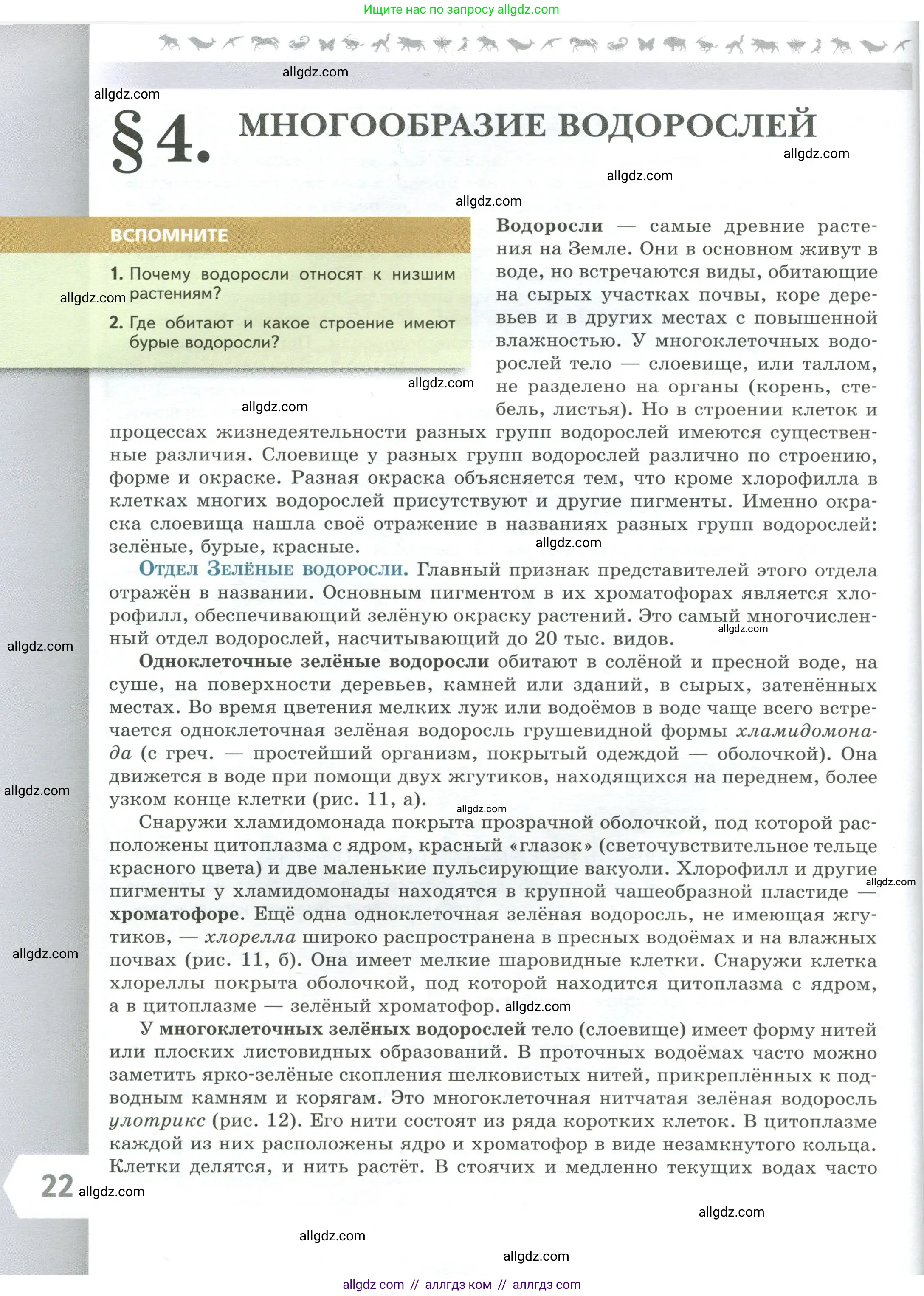 Биология, 7 класс Учебник, авторы: Пасечник Владимир Васильевич, Суматохин Сергей Витальевич, Гапонюк Зоя Георгиевна, Швецов Глеб Геннадьевич, издательство Просвещение, Москва, 2023, бирюзового цвета, страница 22