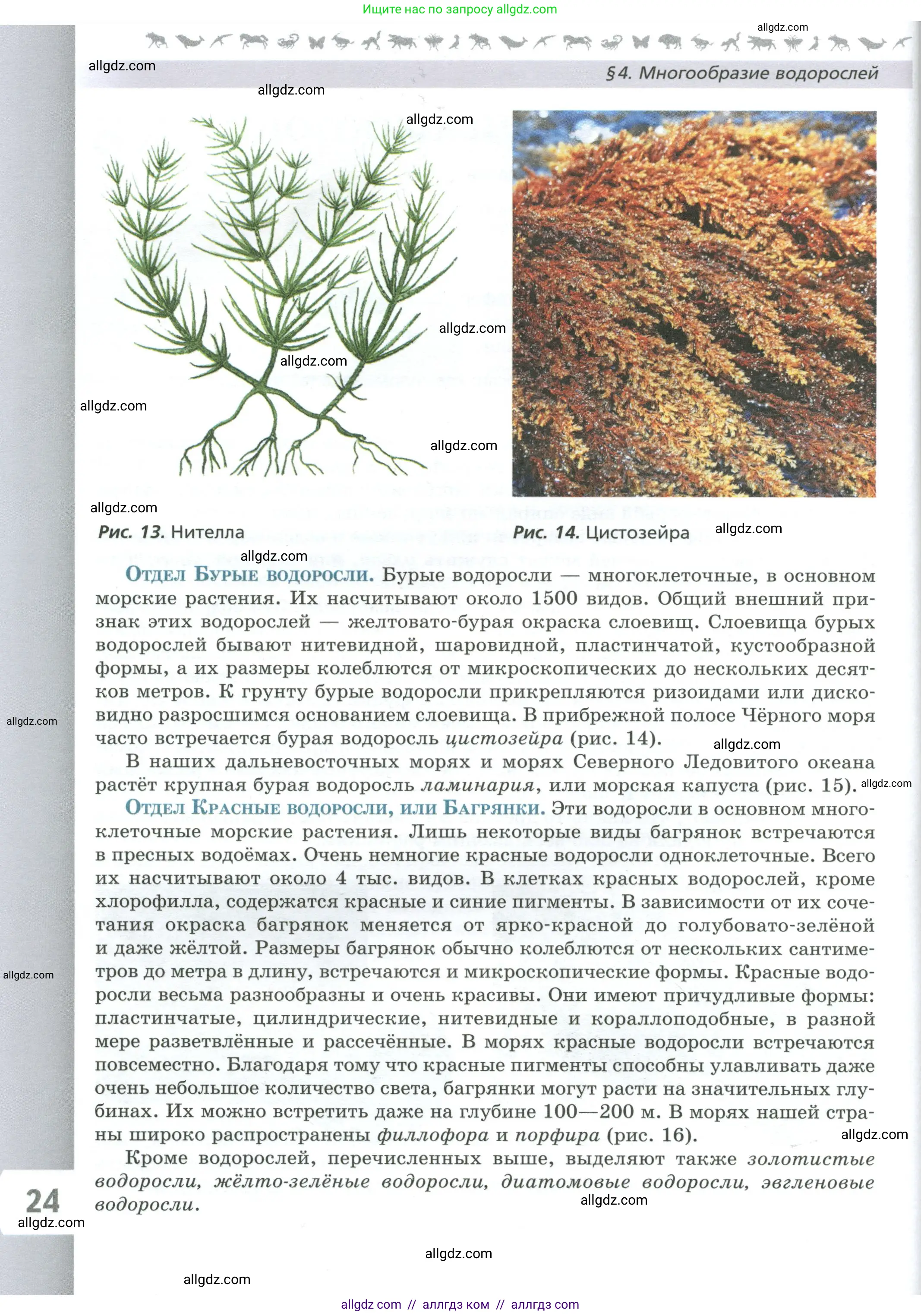 Биология, 7 класс Учебник, авторы: Пасечник Владимир Васильевич, Суматохин Сергей Витальевич, Гапонюк Зоя Георгиевна, Швецов Глеб Геннадьевич, издательство Просвещение, Москва, 2023, бирюзового цвета, страница 24