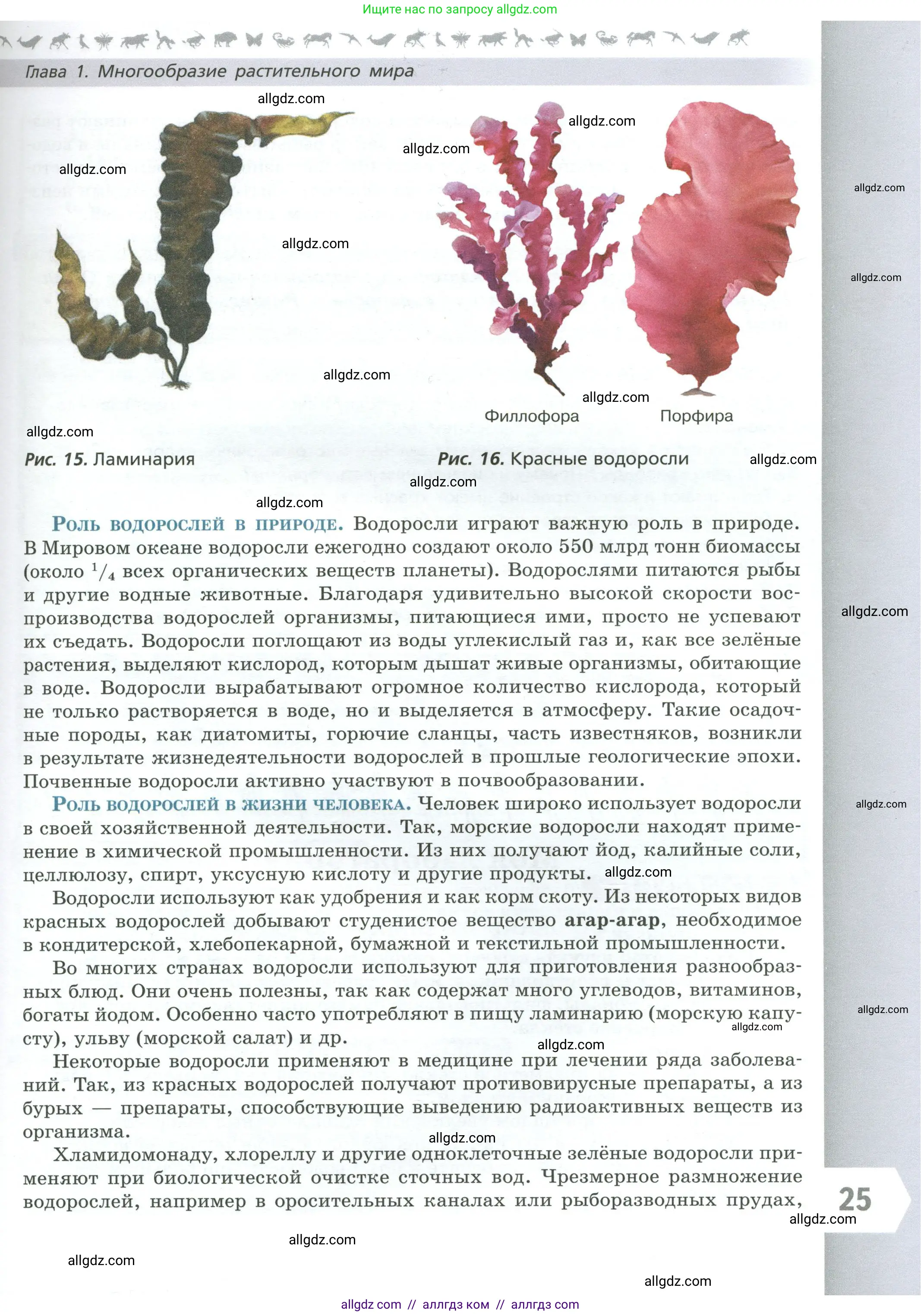 Биология, 7 класс Учебник, авторы: Пасечник Владимир Васильевич, Суматохин Сергей Витальевич, Гапонюк Зоя Георгиевна, Швецов Глеб Геннадьевич, издательство Просвещение, Москва, 2023, бирюзового цвета, страница 25