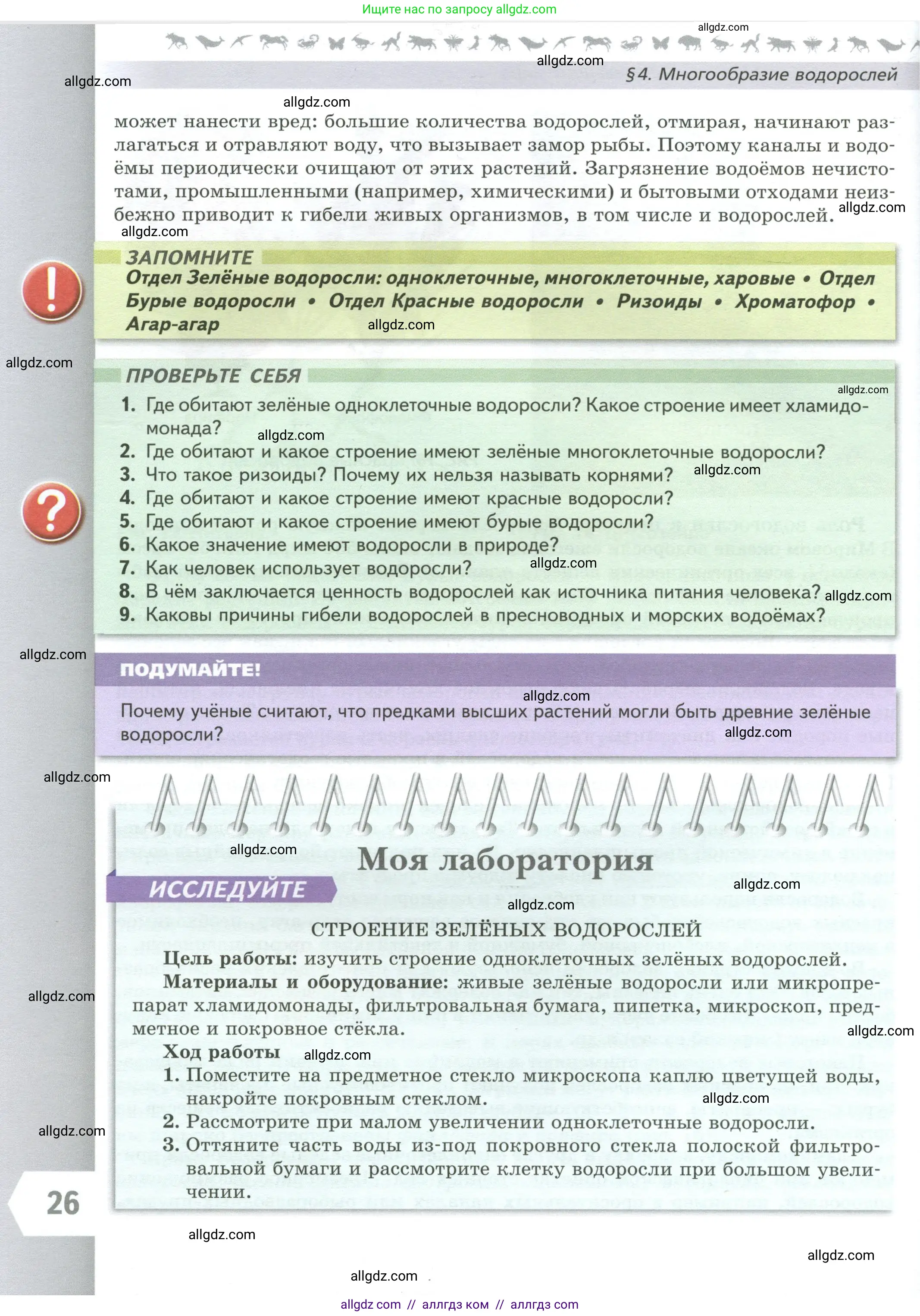 Биология, 7 класс Учебник, авторы: Пасечник Владимир Васильевич, Суматохин Сергей Витальевич, Гапонюк Зоя Георгиевна, Швецов Глеб Геннадьевич, издательство Просвещение, Москва, 2023, бирюзового цвета, страница 26