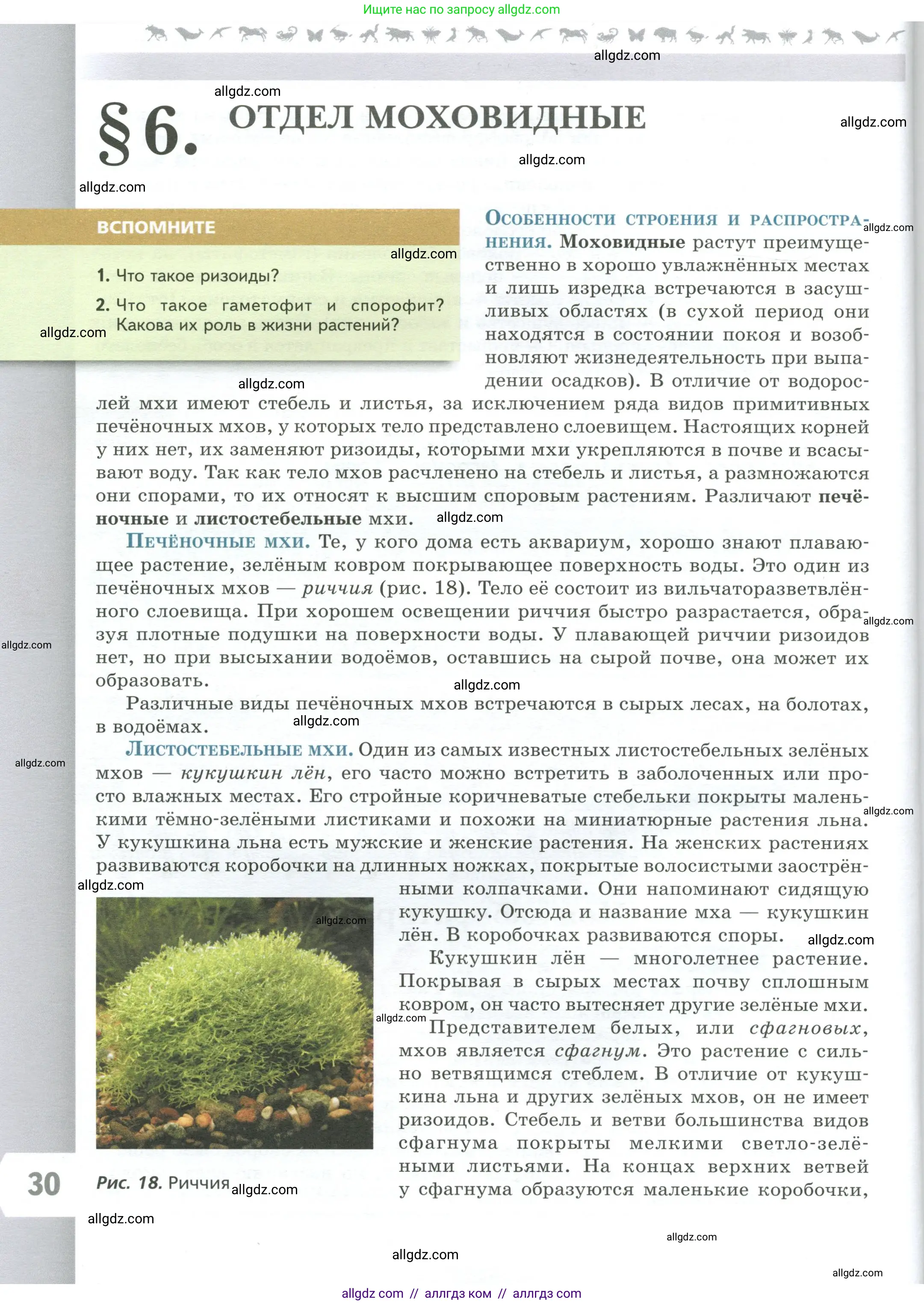 Биология, 7 класс Учебник, авторы: Пасечник Владимир Васильевич, Суматохин Сергей Витальевич, Гапонюк Зоя Георгиевна, Швецов Глеб Геннадьевич, издательство Просвещение, Москва, 2023, бирюзового цвета, страница 30