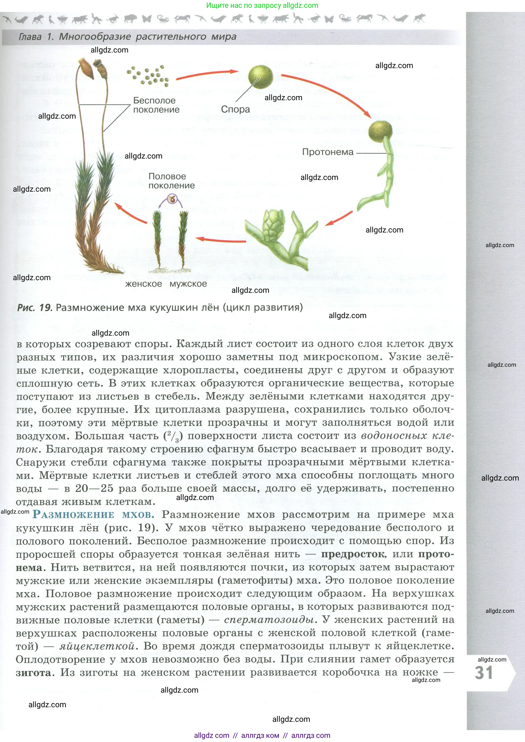 Биология, 7 класс Учебник, авторы: Пасечник Владимир Васильевич, Суматохин Сергей Витальевич, Гапонюк Зоя Георгиевна, Швецов Глеб Геннадьевич, издательство Просвещение, Москва, 2023, бирюзового цвета, страница 31
