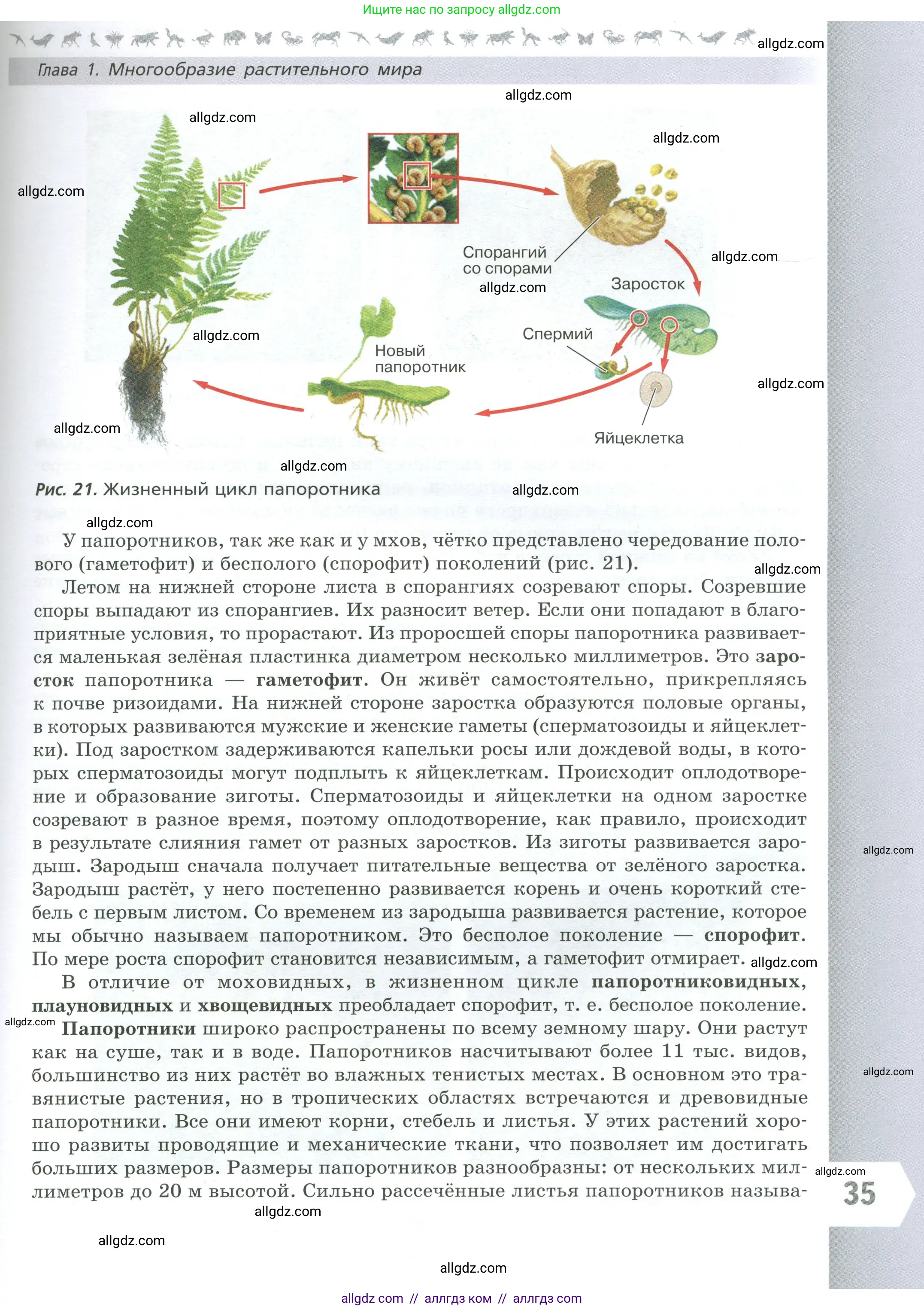 Биология, 7 класс Учебник, авторы: Пасечник Владимир Васильевич, Суматохин Сергей Витальевич, Гапонюк Зоя Георгиевна, Швецов Глеб Геннадьевич, издательство Просвещение, Москва, 2023, бирюзового цвета, страница 35