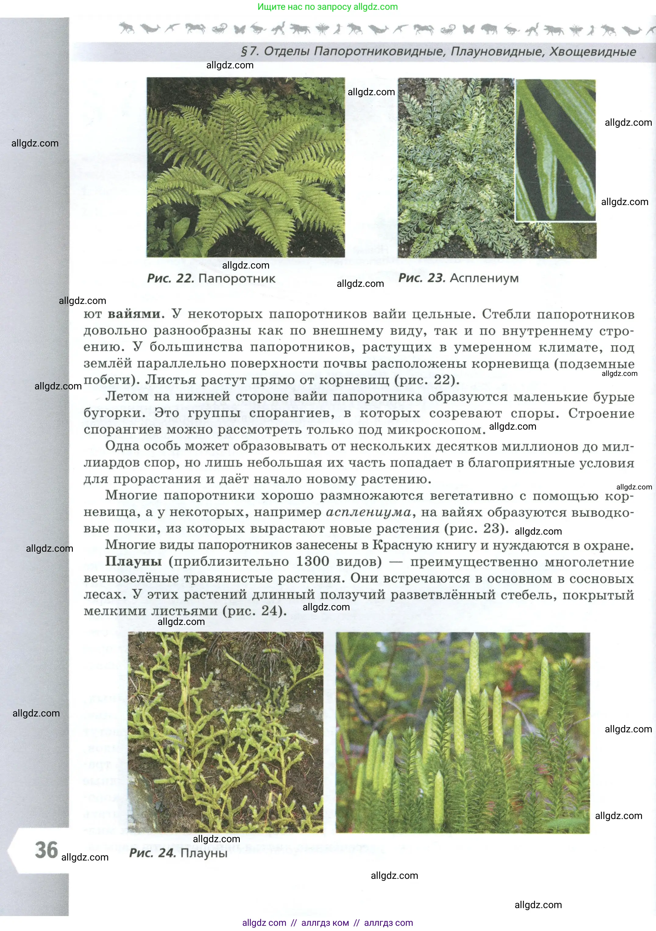 Биология, 7 класс Учебник, авторы: Пасечник Владимир Васильевич, Суматохин Сергей Витальевич, Гапонюк Зоя Георгиевна, Швецов Глеб Геннадьевич, издательство Просвещение, Москва, 2023, бирюзового цвета, страница 36