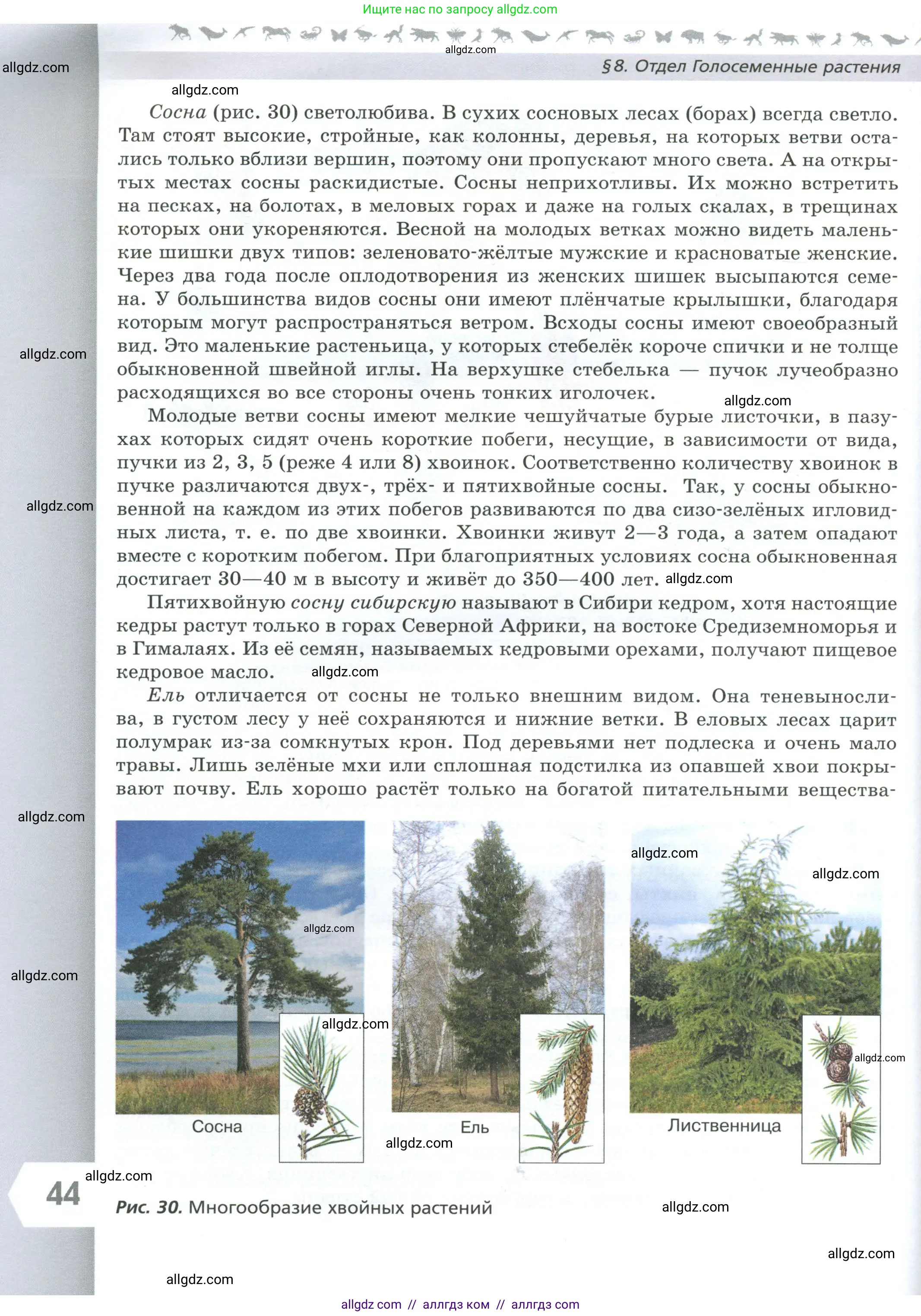 Биология, 7 класс Учебник, авторы: Пасечник Владимир Васильевич, Суматохин Сергей Витальевич, Гапонюк Зоя Георгиевна, Швецов Глеб Геннадьевич, издательство Просвещение, Москва, 2023, бирюзового цвета, страница 44