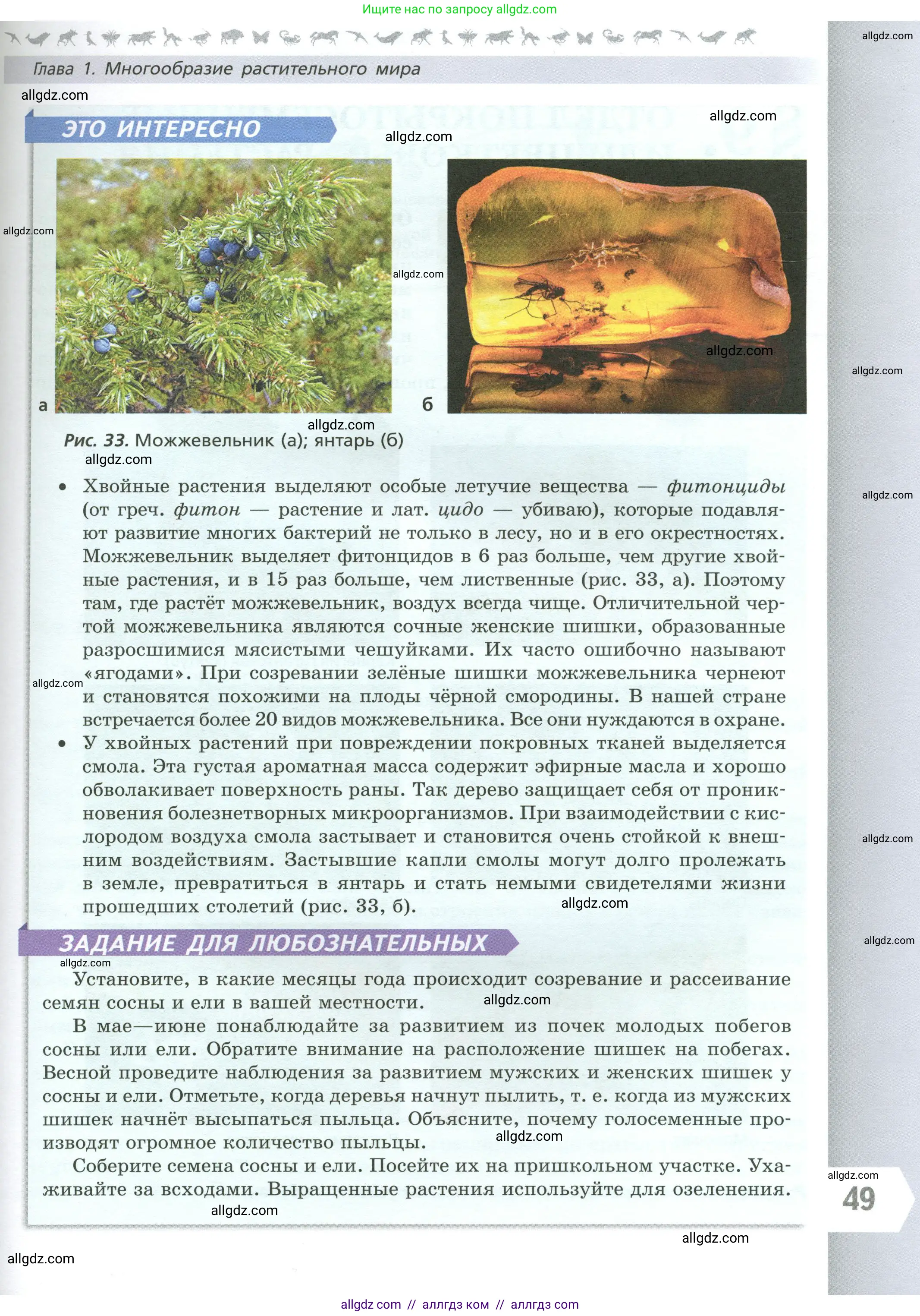 Биология, 7 класс Учебник, авторы: Пасечник Владимир Васильевич, Суматохин Сергей Витальевич, Гапонюк Зоя Георгиевна, Швецов Глеб Геннадьевич, издательство Просвещение, Москва, 2023, бирюзового цвета, страница 49