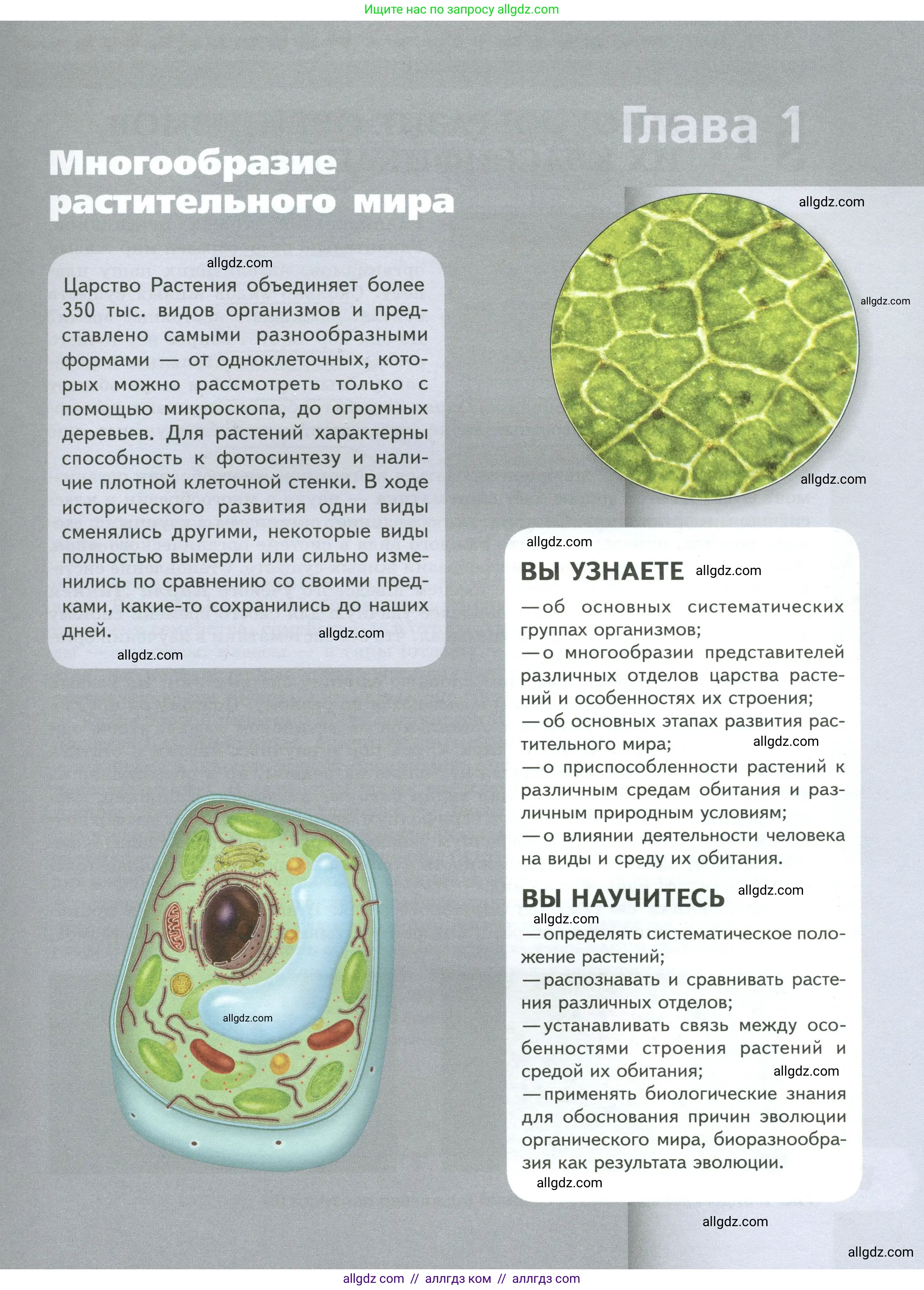 Биология, 7 класс Учебник, авторы: Пасечник Владимир Васильевич, Суматохин Сергей Витальевич, Гапонюк Зоя Георгиевна, Швецов Глеб Геннадьевич, издательство Просвещение, Москва, 2023, бирюзового цвета, страница 5