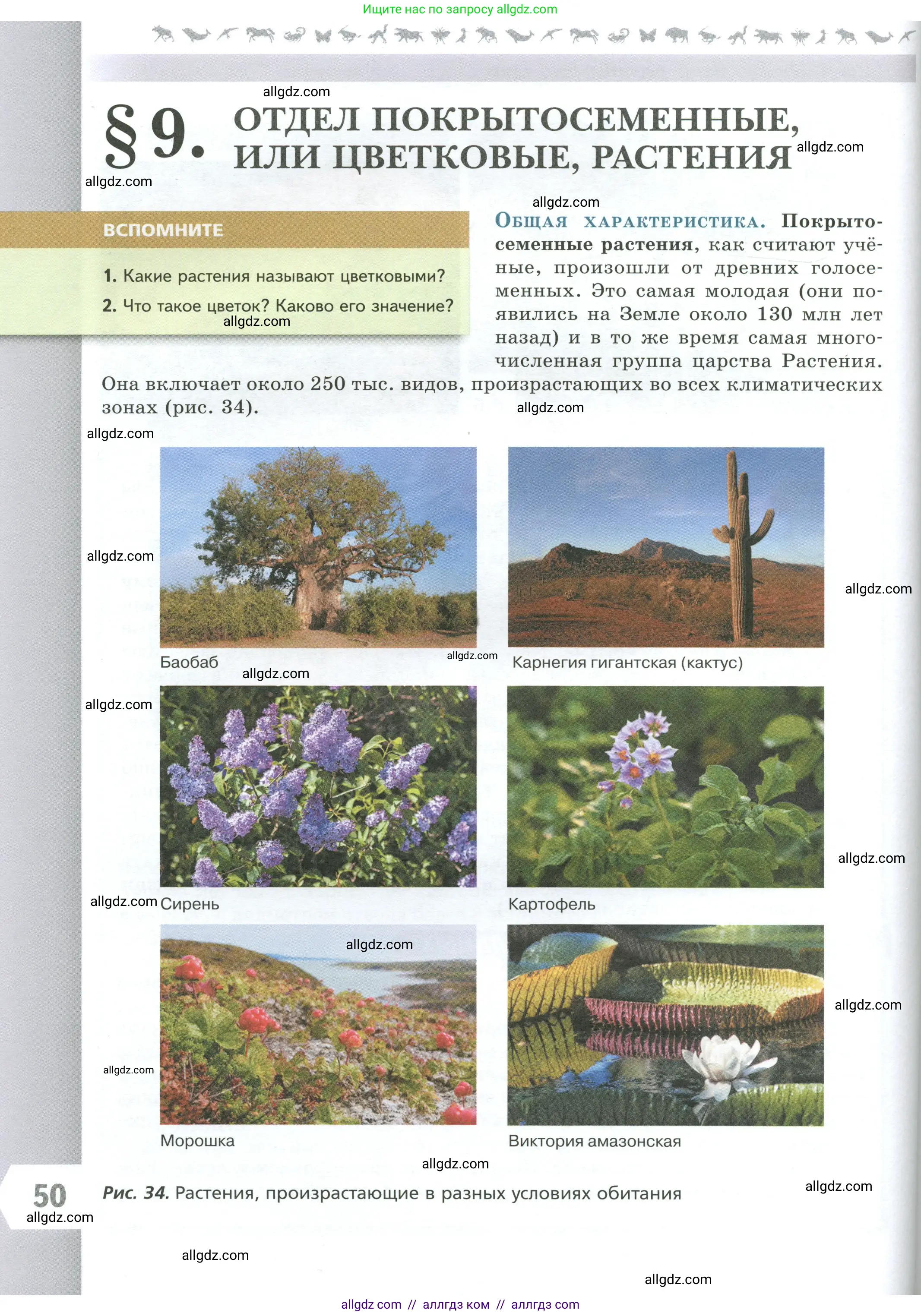 Биология, 7 класс Учебник, авторы: Пасечник Владимир Васильевич, Суматохин Сергей Витальевич, Гапонюк Зоя Георгиевна, Швецов Глеб Геннадьевич, издательство Просвещение, Москва, 2023, бирюзового цвета, страница 50