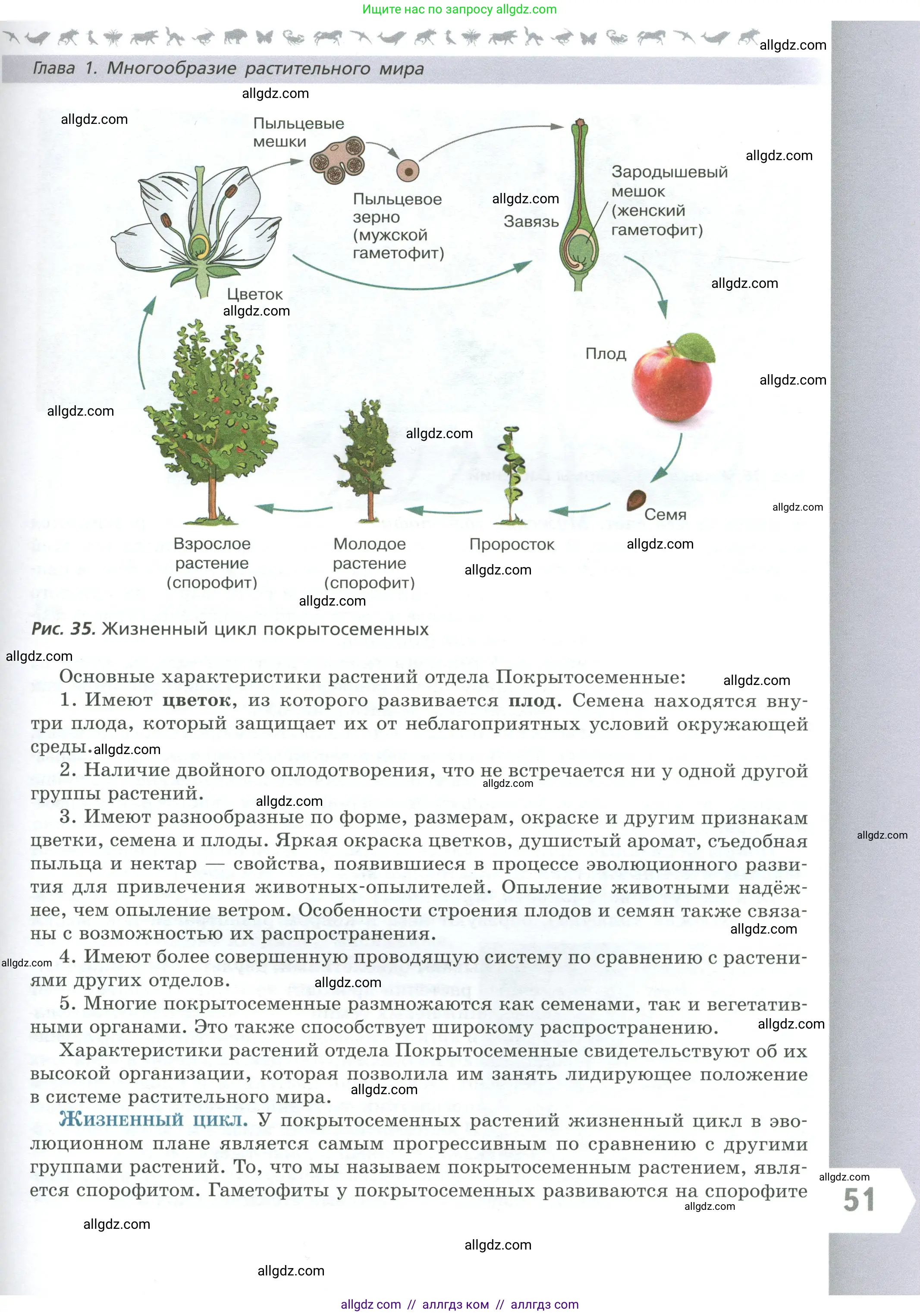 Биология, 7 класс Учебник, авторы: Пасечник Владимир Васильевич, Суматохин Сергей Витальевич, Гапонюк Зоя Георгиевна, Швецов Глеб Геннадьевич, издательство Просвещение, Москва, 2023, бирюзового цвета, страница 51