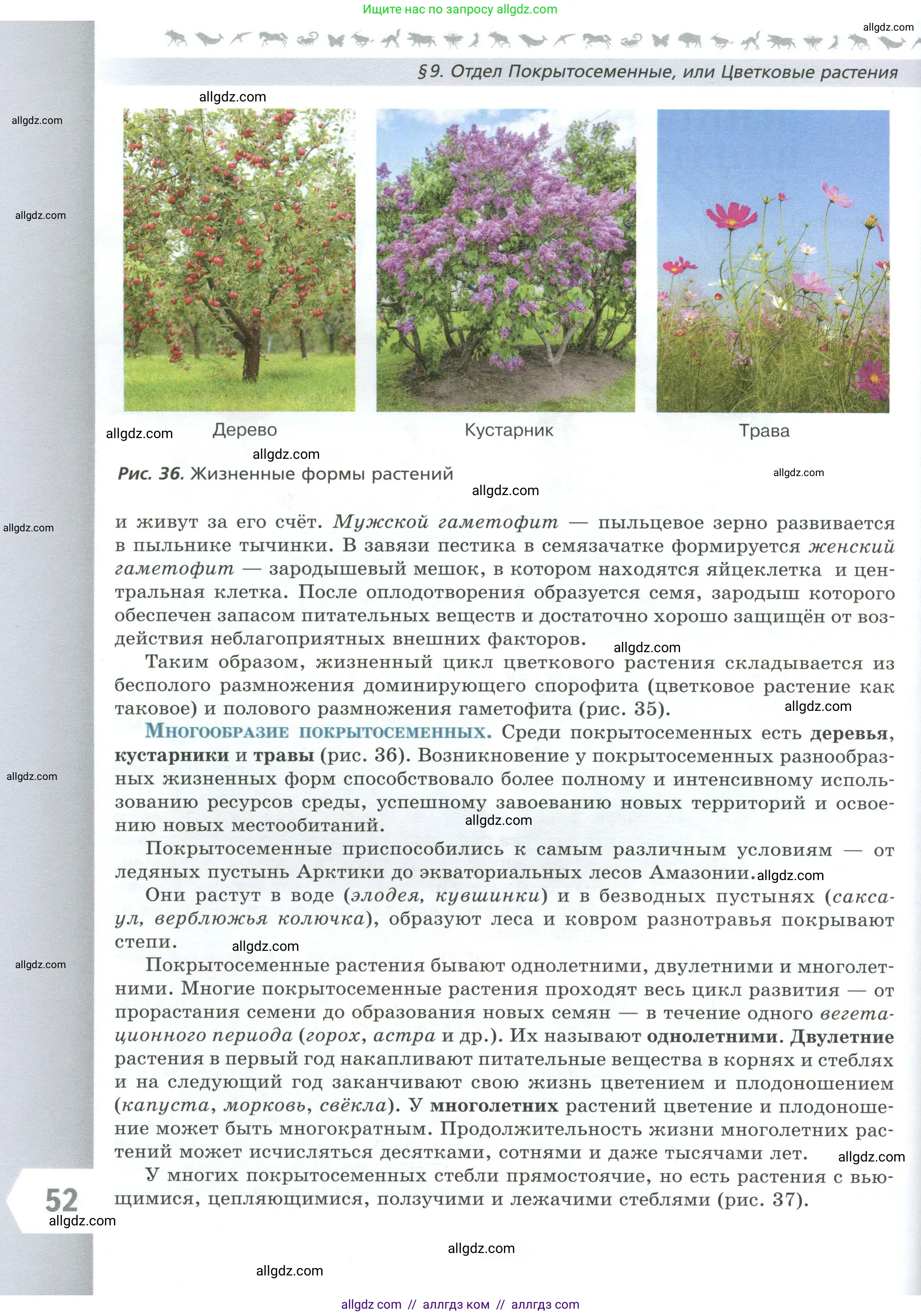 Биология, 7 класс Учебник, авторы: Пасечник Владимир Васильевич, Суматохин Сергей Витальевич, Гапонюк Зоя Георгиевна, Швецов Глеб Геннадьевич, издательство Просвещение, Москва, 2023, бирюзового цвета, страница 52