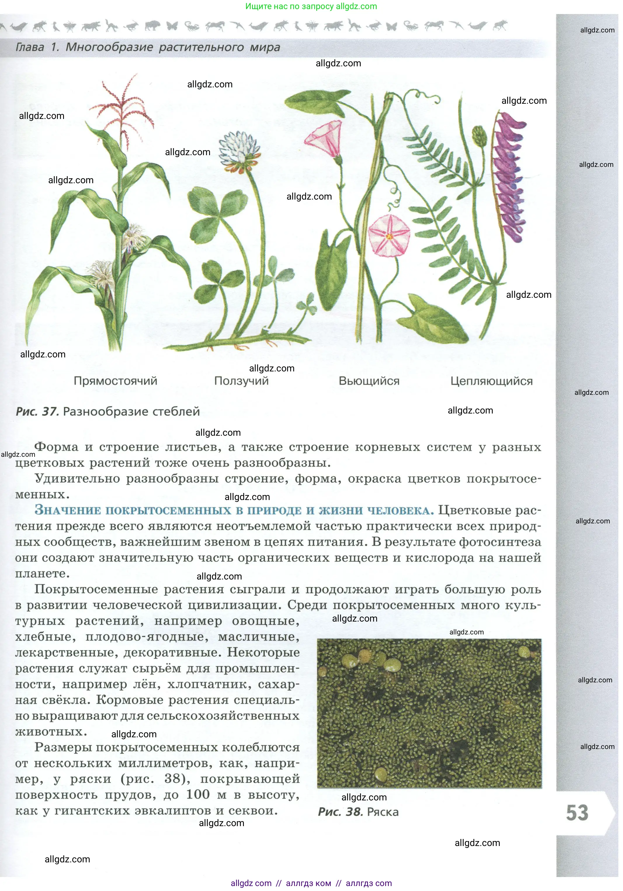 Биология, 7 класс Учебник, авторы: Пасечник Владимир Васильевич, Суматохин Сергей Витальевич, Гапонюк Зоя Георгиевна, Швецов Глеб Геннадьевич, издательство Просвещение, Москва, 2023, бирюзового цвета, страница 53