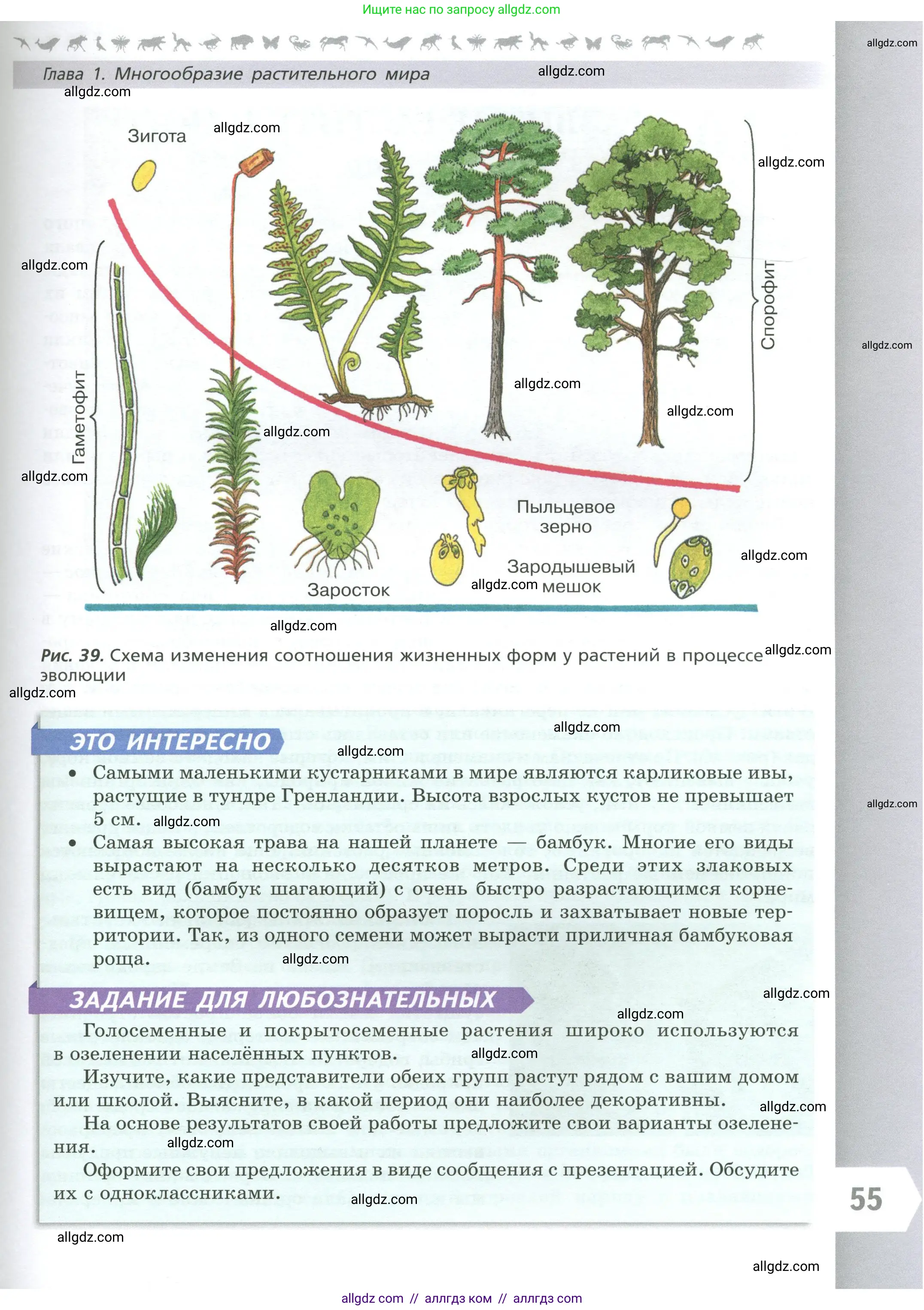 Биология, 7 класс Учебник, авторы: Пасечник Владимир Васильевич, Суматохин Сергей Витальевич, Гапонюк Зоя Георгиевна, Швецов Глеб Геннадьевич, издательство Просвещение, Москва, 2023, бирюзового цвета, страница 55