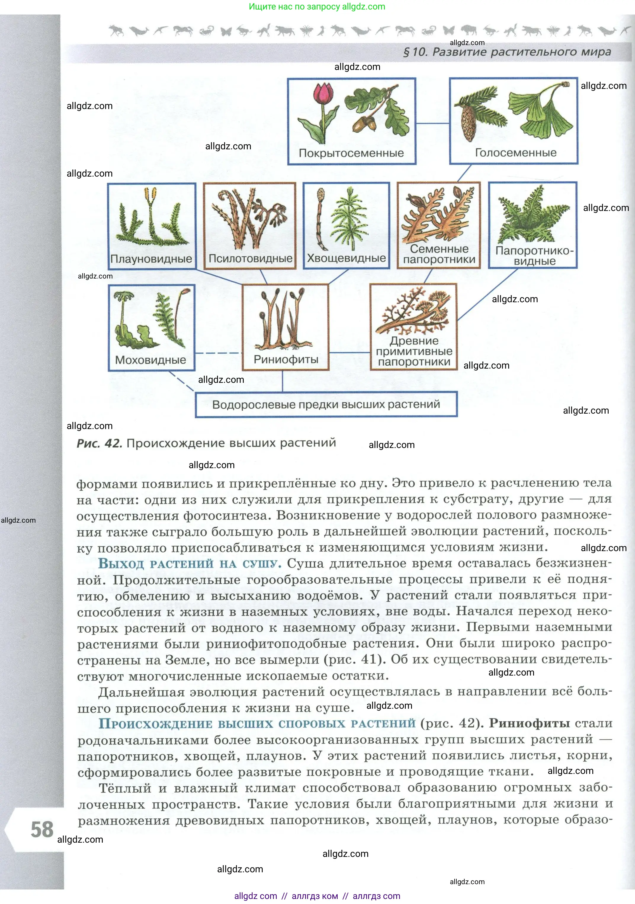 Биология, 7 класс Учебник, авторы: Пасечник Владимир Васильевич, Суматохин Сергей Витальевич, Гапонюк Зоя Георгиевна, Швецов Глеб Геннадьевич, издательство Просвещение, Москва, 2023, бирюзового цвета, страница 58