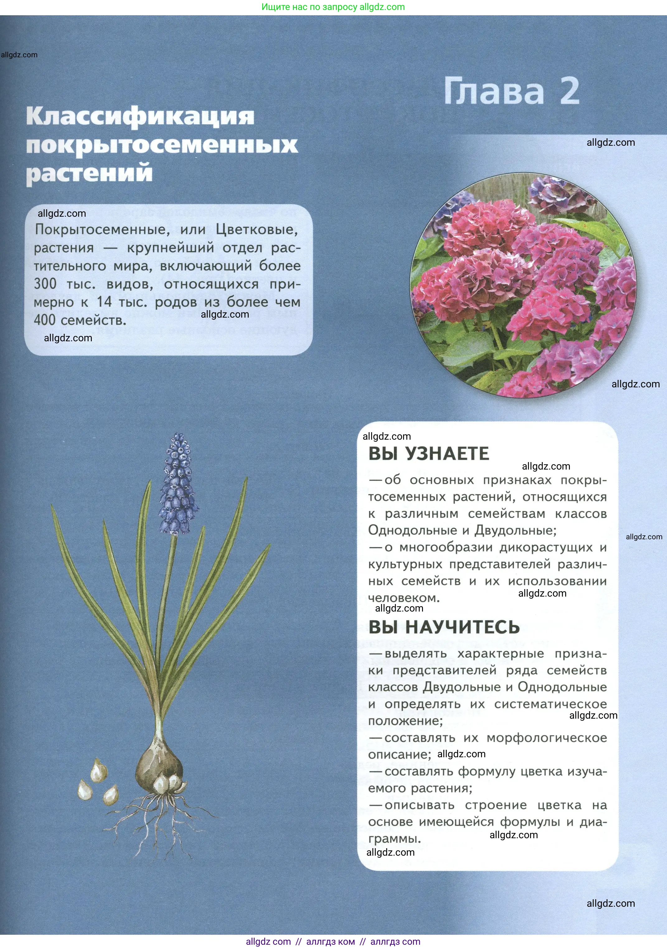 Биология, 7 класс Учебник, авторы: Пасечник Владимир Васильевич, Суматохин Сергей Витальевич, Гапонюк Зоя Георгиевна, Швецов Глеб Геннадьевич, издательство Просвещение, Москва, 2023, бирюзового цвета, страница 63