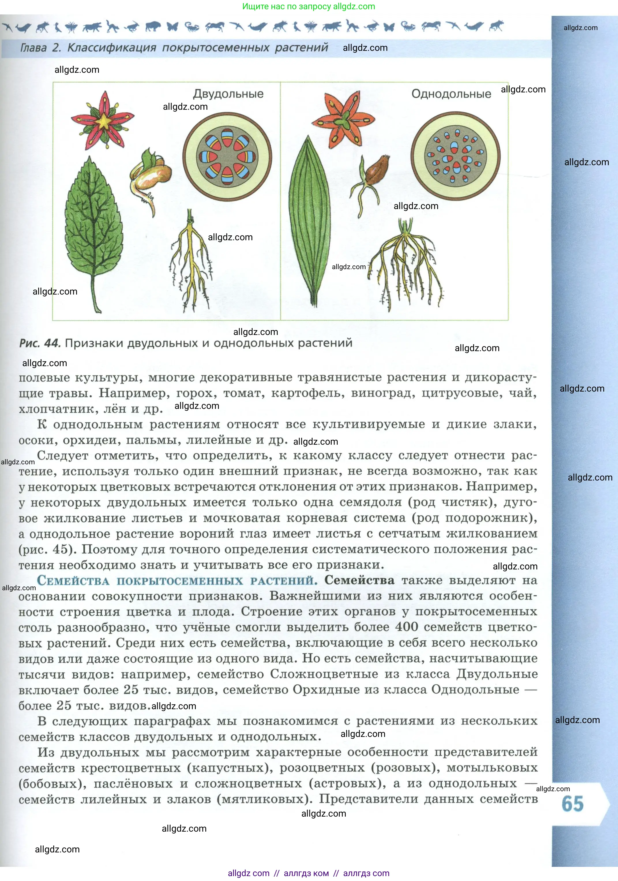 Биология, 7 класс Учебник, авторы: Пасечник Владимир Васильевич, Суматохин Сергей Витальевич, Гапонюк Зоя Георгиевна, Швецов Глеб Геннадьевич, издательство Просвещение, Москва, 2023, бирюзового цвета, страница 65