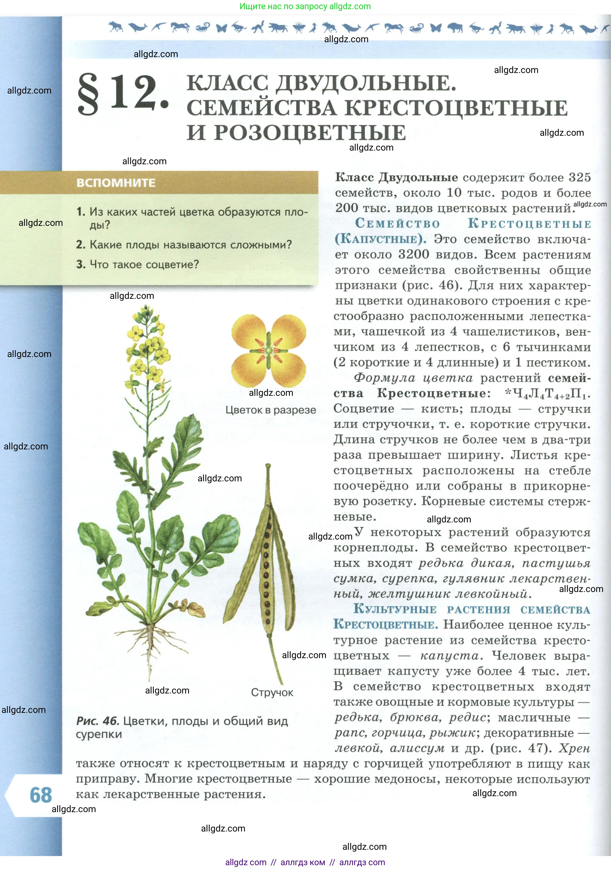 Биология, 7 класс Учебник, авторы: Пасечник Владимир Васильевич, Суматохин Сергей Витальевич, Гапонюк Зоя Георгиевна, Швецов Глеб Геннадьевич, издательство Просвещение, Москва, 2023, бирюзового цвета, страница 68