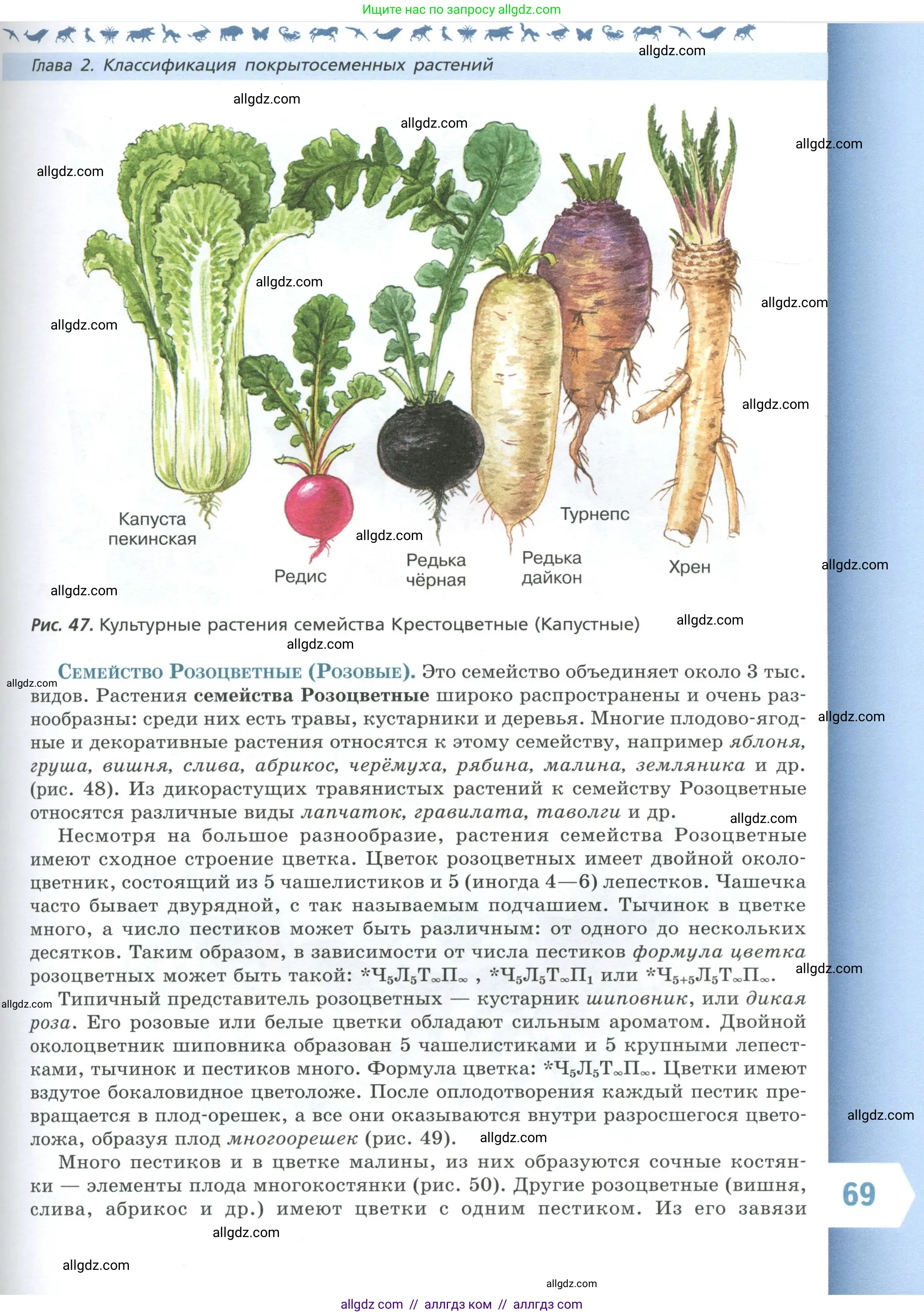 Биология, 7 класс Учебник, авторы: Пасечник Владимир Васильевич, Суматохин Сергей Витальевич, Гапонюк Зоя Георгиевна, Швецов Глеб Геннадьевич, издательство Просвещение, Москва, 2023, бирюзового цвета, страница 69
