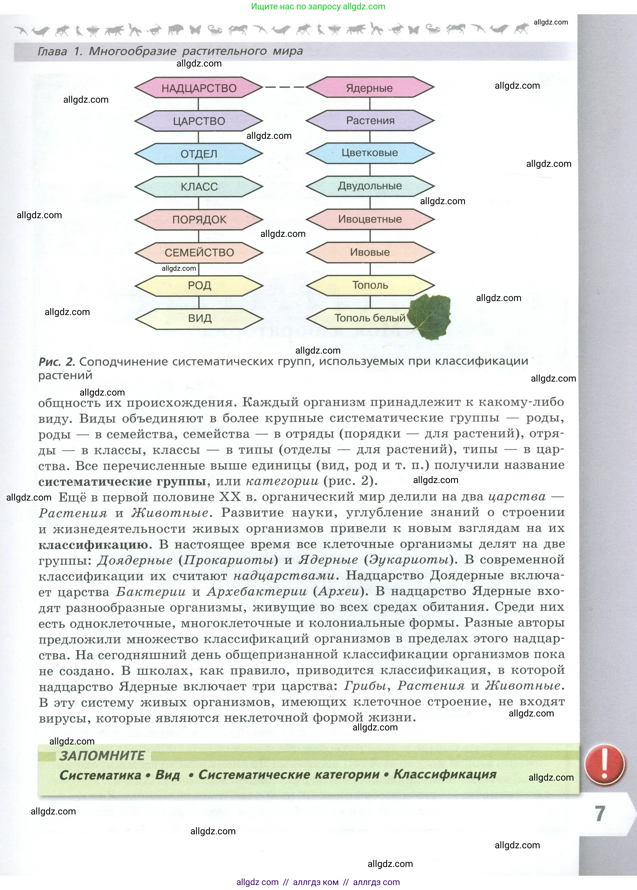 Биология, 7 класс Учебник, авторы: Пасечник Владимир Васильевич, Суматохин Сергей Витальевич, Гапонюк Зоя Георгиевна, Швецов Глеб Геннадьевич, издательство Просвещение, Москва, 2023, бирюзового цвета, страница 7