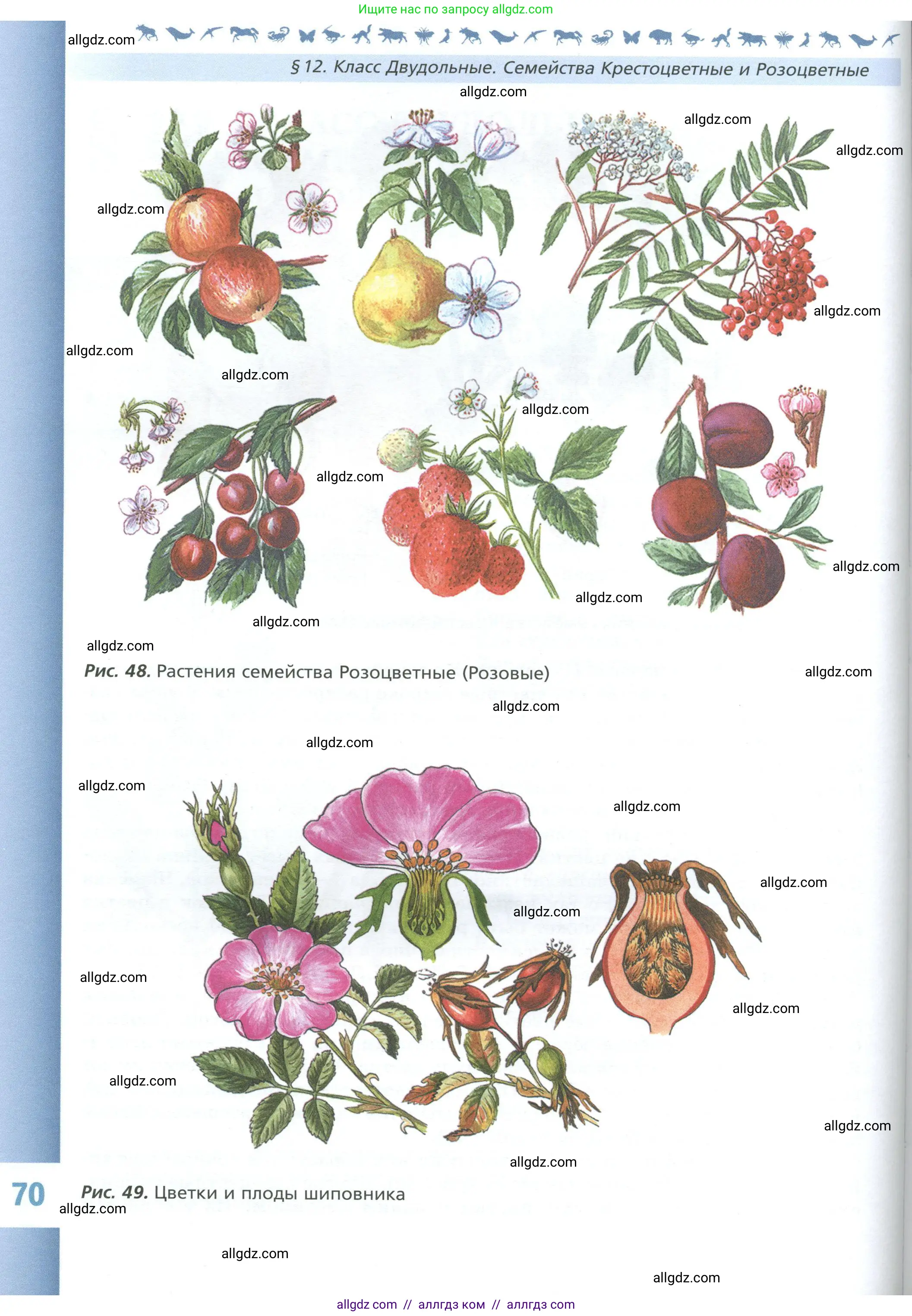 Биология, 7 класс Учебник, авторы: Пасечник Владимир Васильевич, Суматохин Сергей Витальевич, Гапонюк Зоя Георгиевна, Швецов Глеб Геннадьевич, издательство Просвещение, Москва, 2023, бирюзового цвета, страница 70