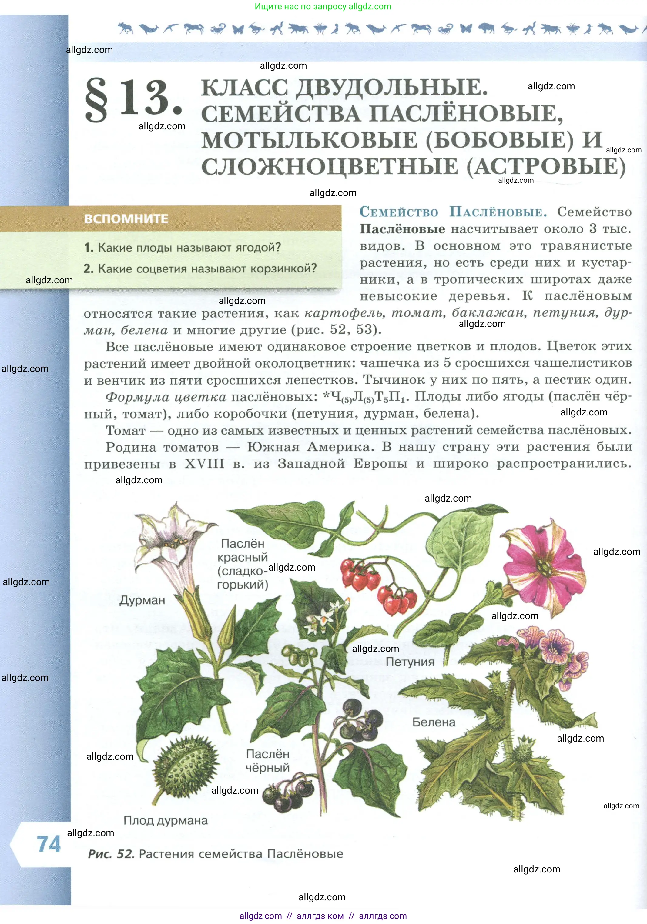 Биология, 7 класс Учебник, авторы: Пасечник Владимир Васильевич, Суматохин Сергей Витальевич, Гапонюк Зоя Георгиевна, Швецов Глеб Геннадьевич, издательство Просвещение, Москва, 2023, бирюзового цвета, страница 74