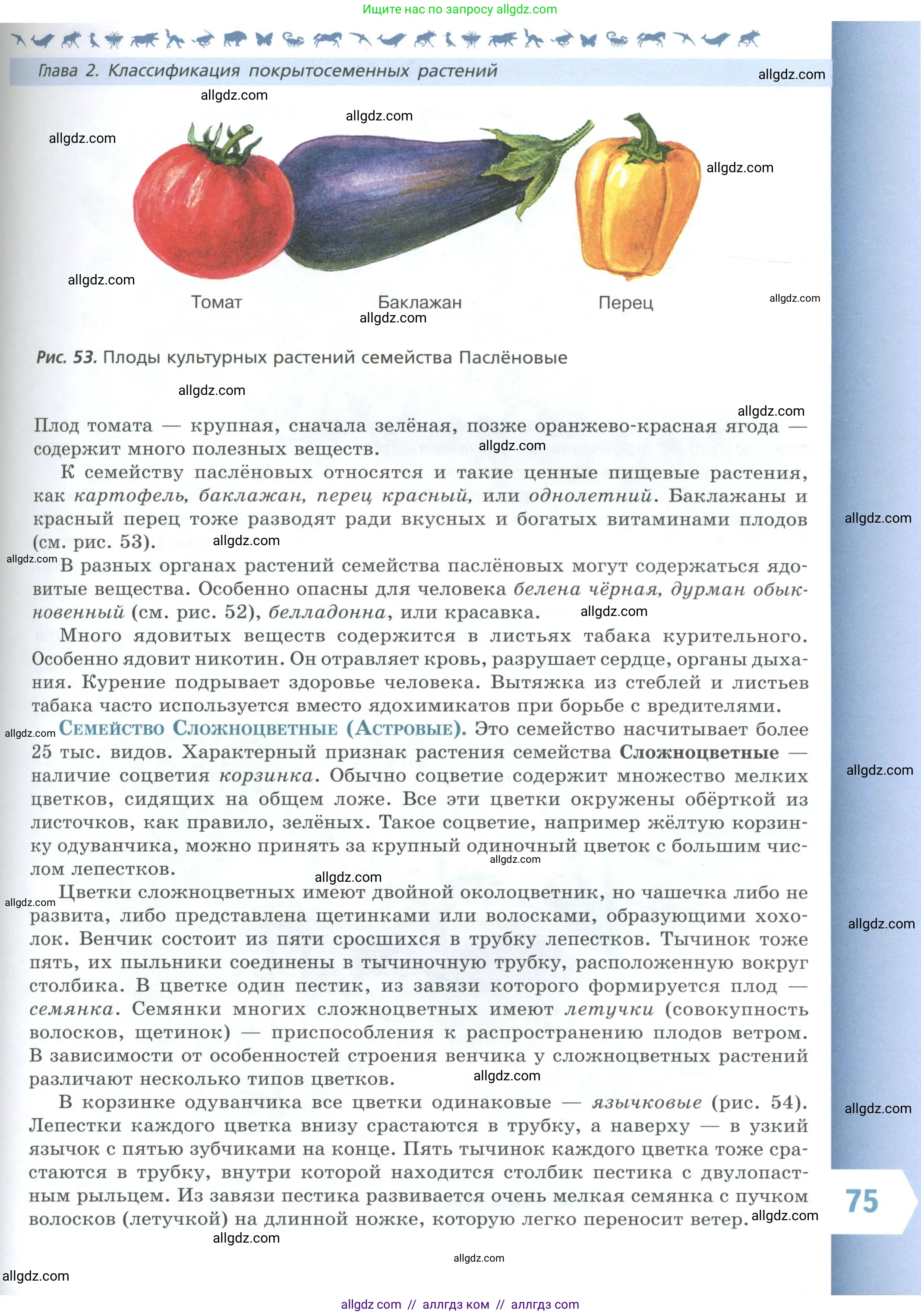 Биология, 7 класс Учебник, авторы: Пасечник Владимир Васильевич, Суматохин Сергей Витальевич, Гапонюк Зоя Георгиевна, Швецов Глеб Геннадьевич, издательство Просвещение, Москва, 2023, бирюзового цвета, страница 75