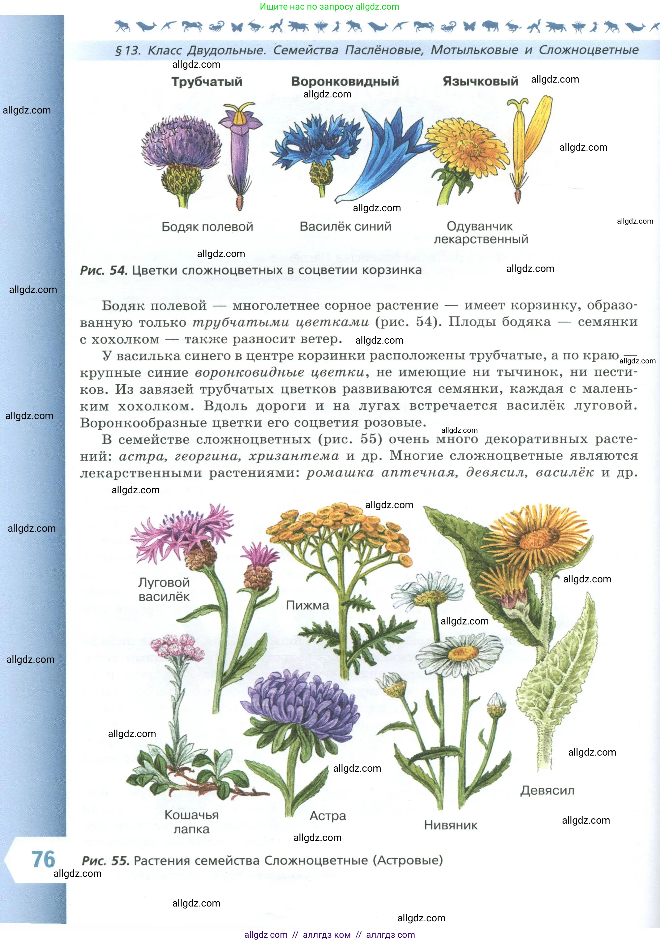 Биология, 7 класс Учебник, авторы: Пасечник Владимир Васильевич, Суматохин Сергей Витальевич, Гапонюк Зоя Георгиевна, Швецов Глеб Геннадьевич, издательство Просвещение, Москва, 2023, бирюзового цвета, страница 76